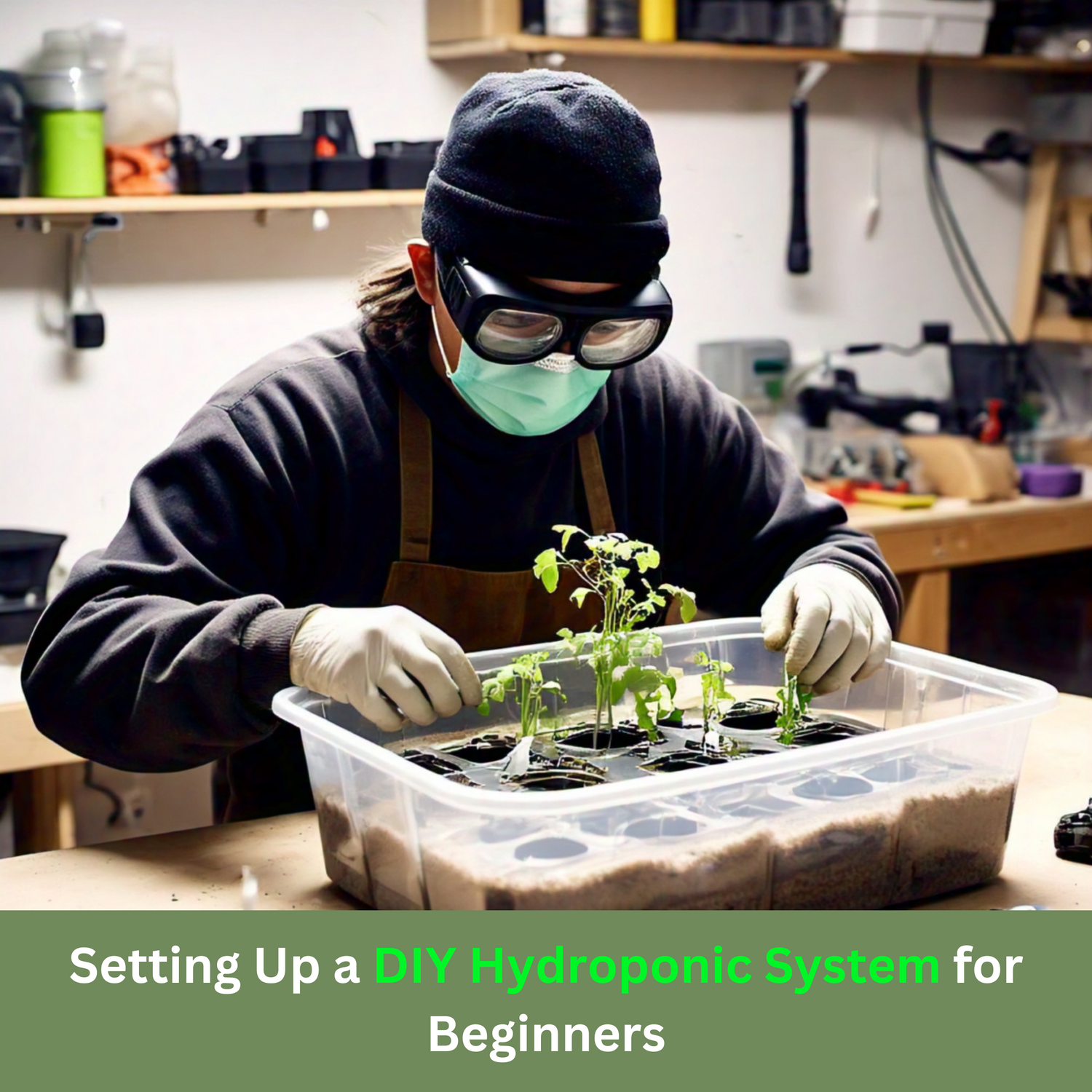 Setting Up a DIY Hydroponic System for Beginners