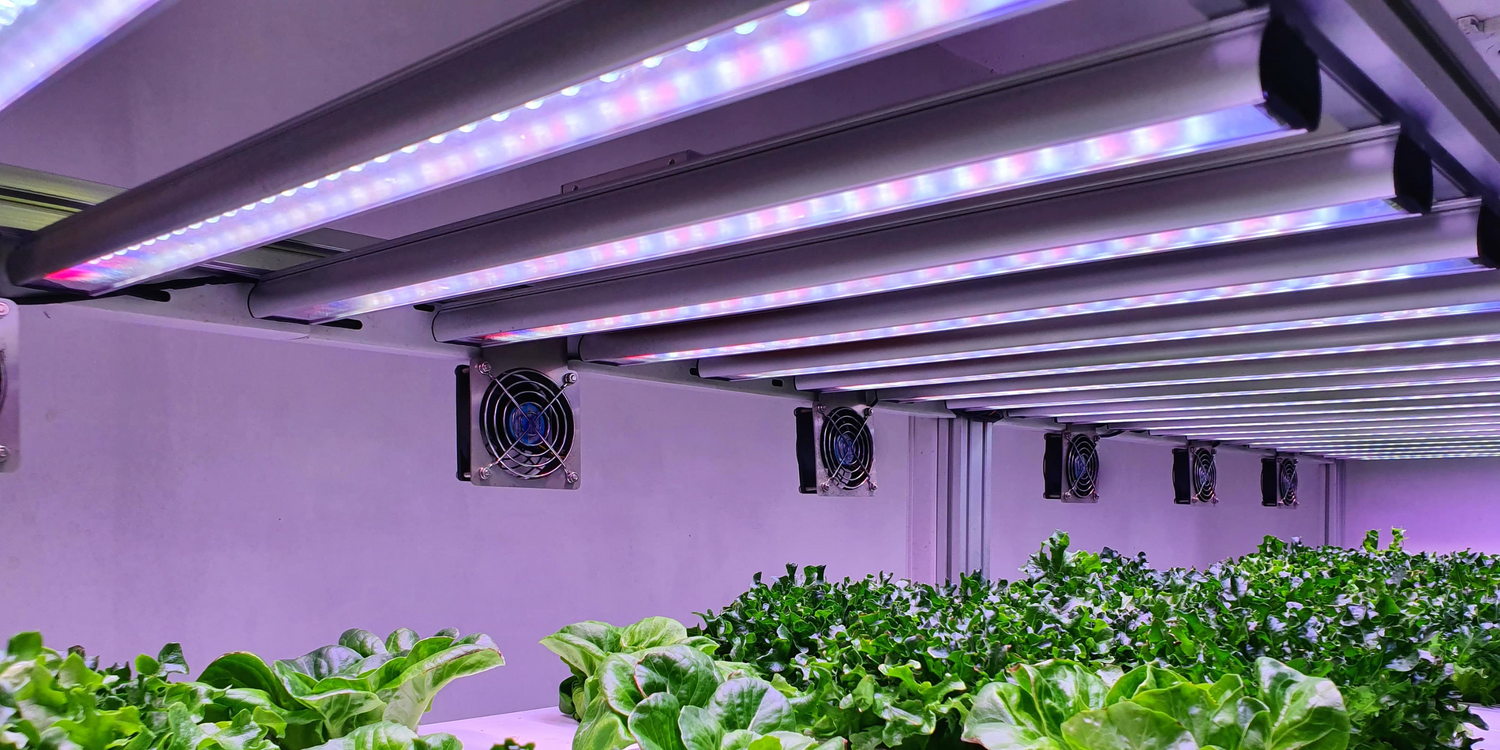 The Beginner’s Guide to Hydroponics Using Viagrow Products