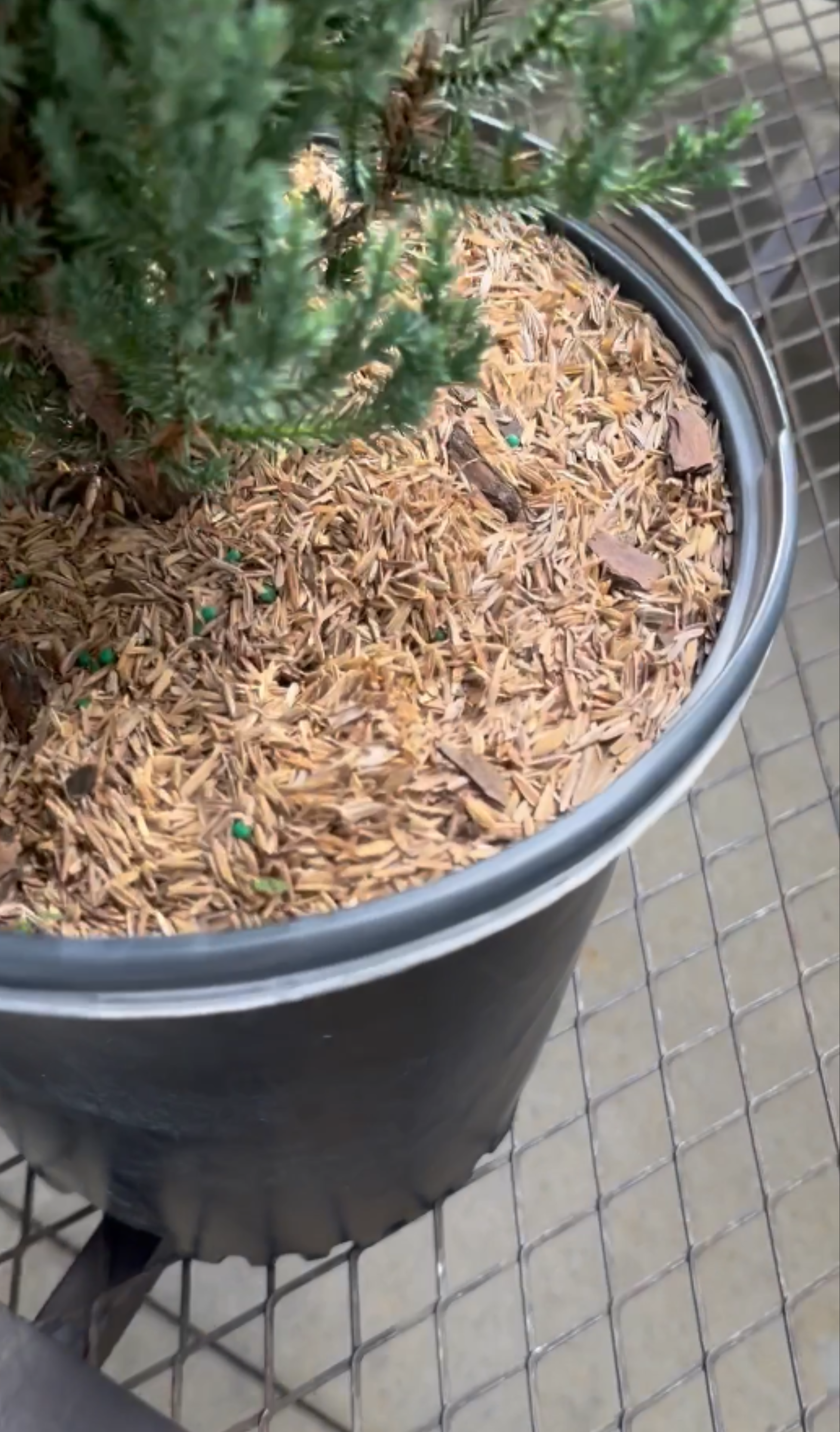 Viagrow 1 cu. ft. (10 lb.) Organic Rice Hulls Soil Amendment (Packs)