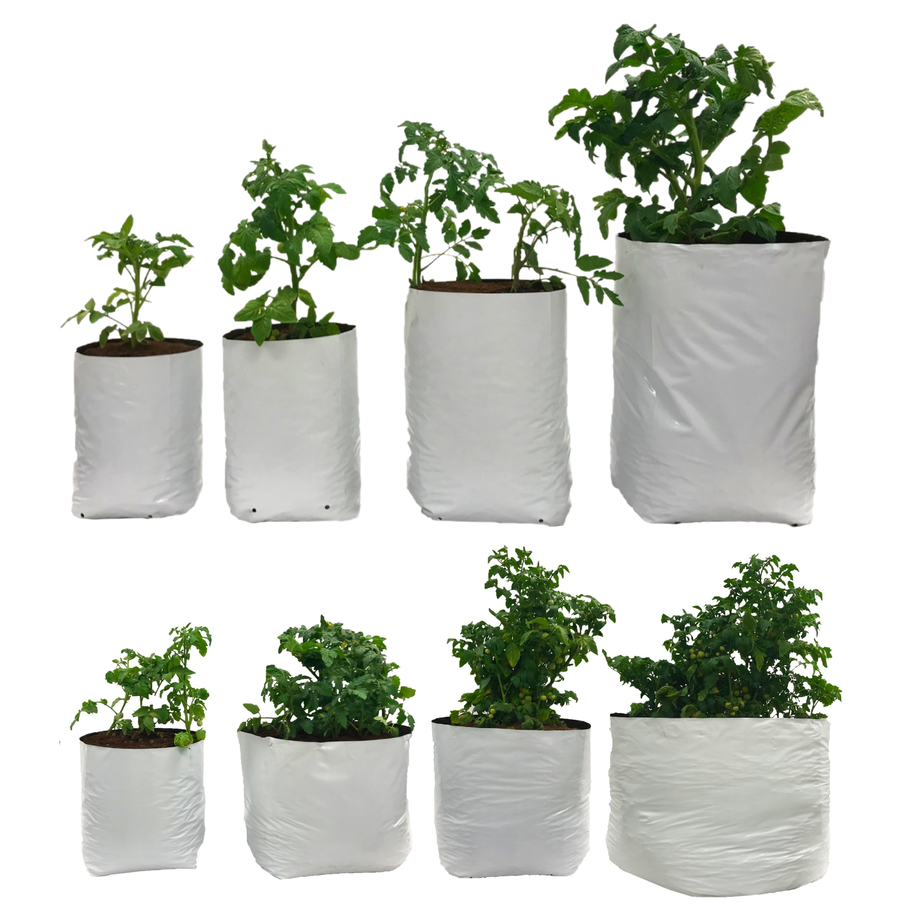 Viagrow Plastic Grow Bags, Reversible Black/White Virgin PP with Drainage Holes, Indoor/Outdoor Planting (Big Packs)