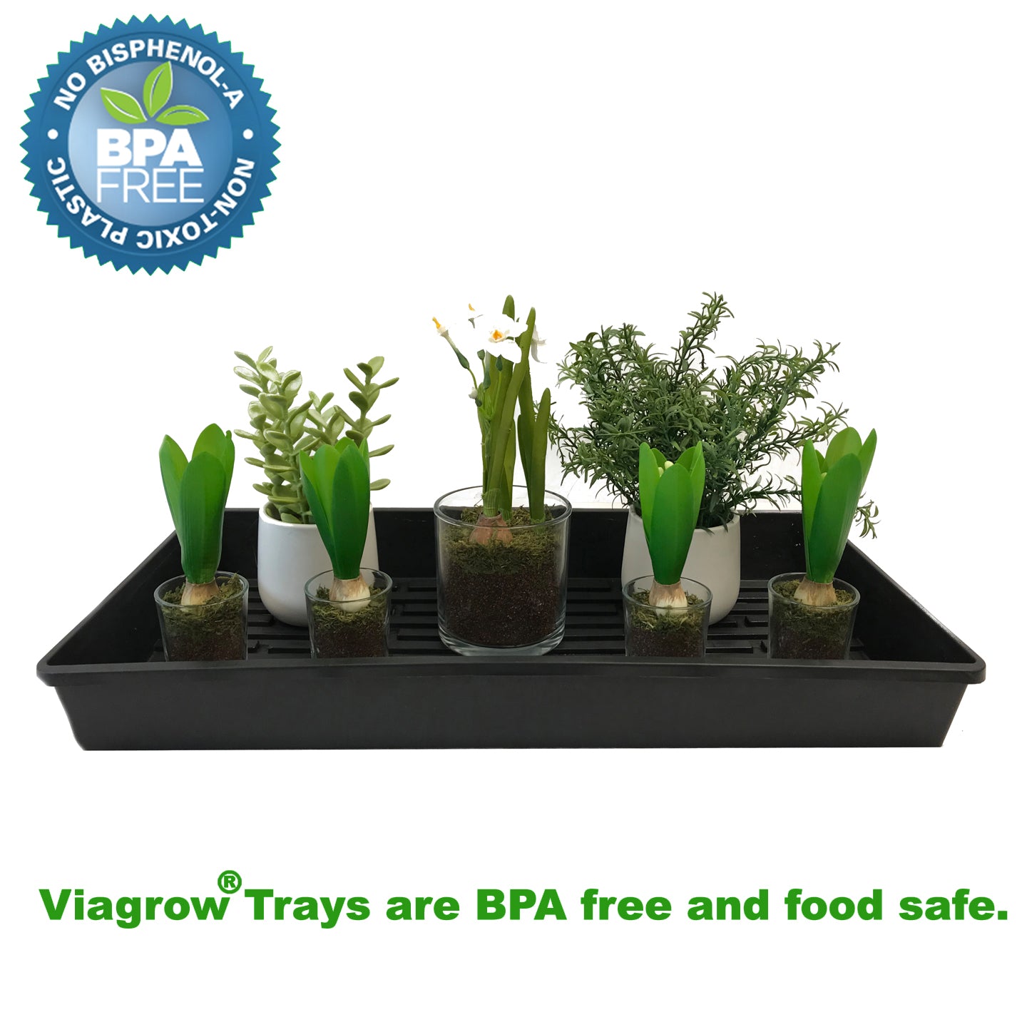 Viagrow 10 in. x 20 in. Black Plastic Extra-Strength Quad Seed Starter Plant Support Planter Accessory (Packs)
