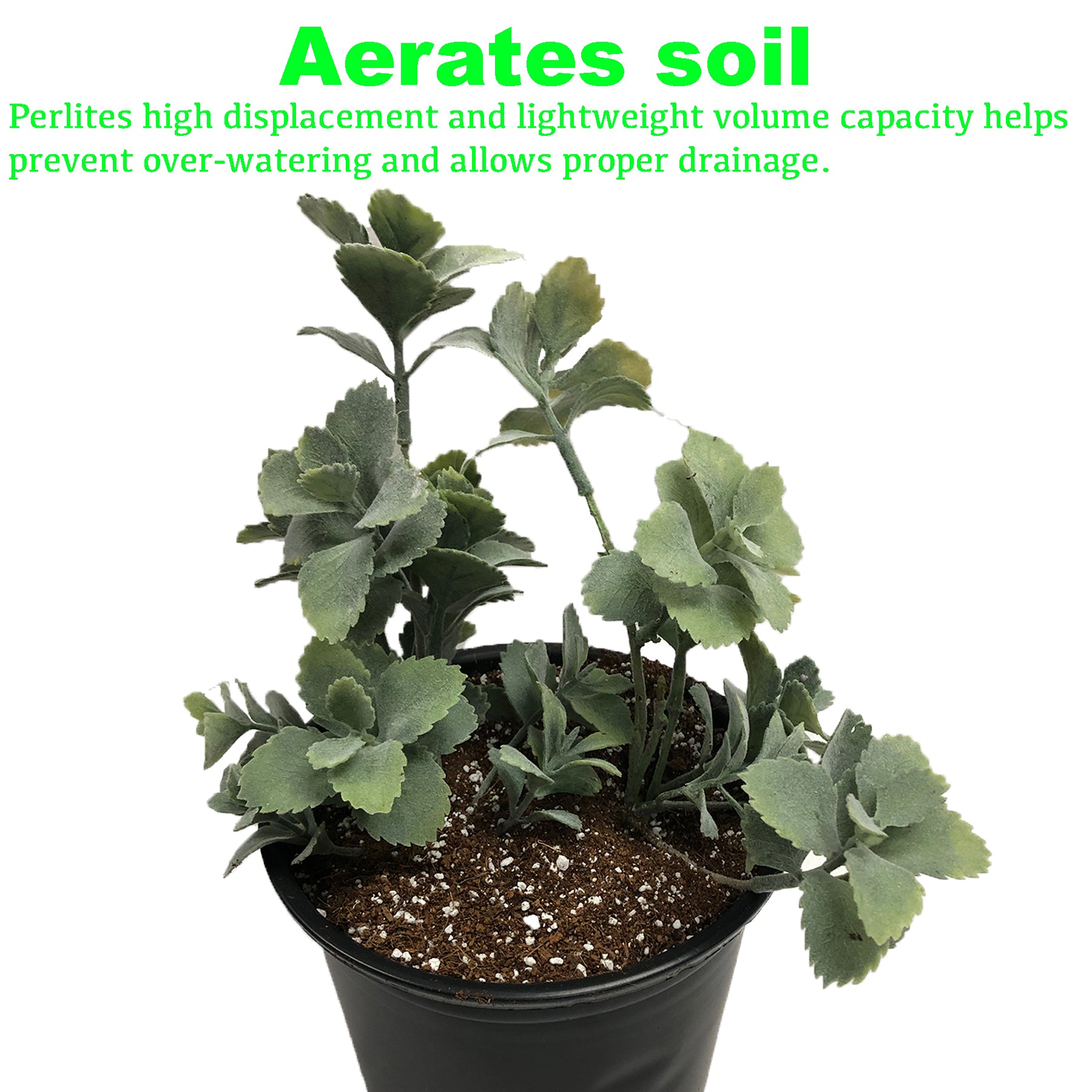 Viagrow 4 cu. ft. (113L) Horticultural Perlite Natural Soil Amendment (Packs)