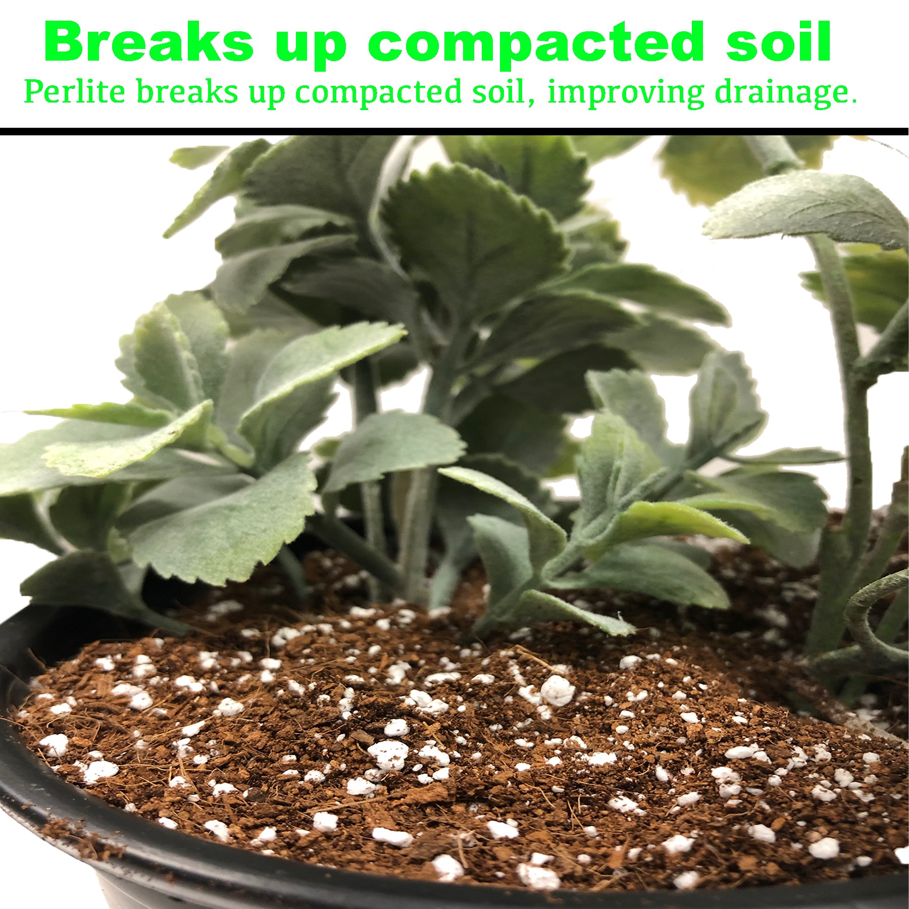 Viagrow 4 cu. ft. (113L) Horticultural Perlite Natural Soil Amendment (Packs)