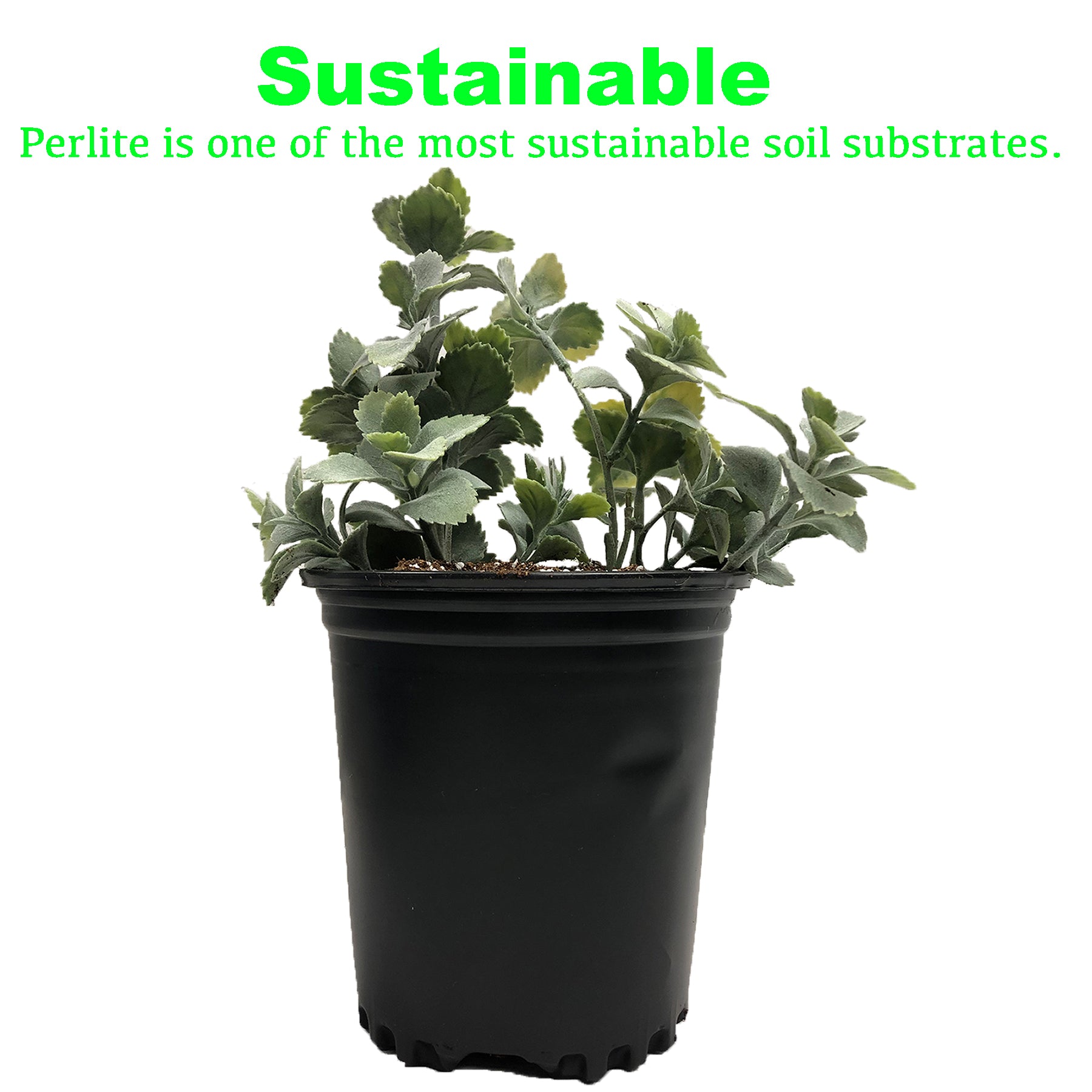 Viagrow 4 cu. ft. (113L) Horticultural Perlite Natural Soil Amendment (Packs)