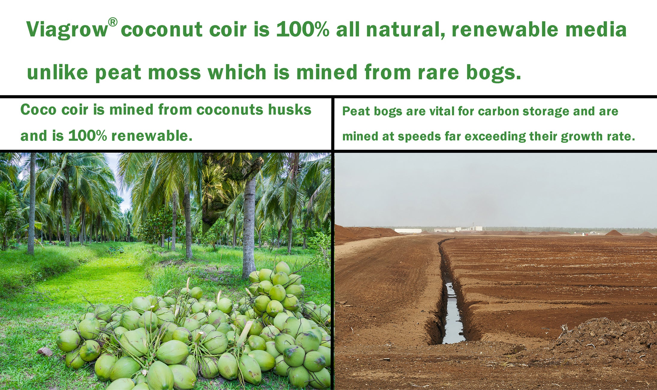 Viagrow 5 kg (10 lb.) Coco Chips Premium Reptile Bedding (Packs)