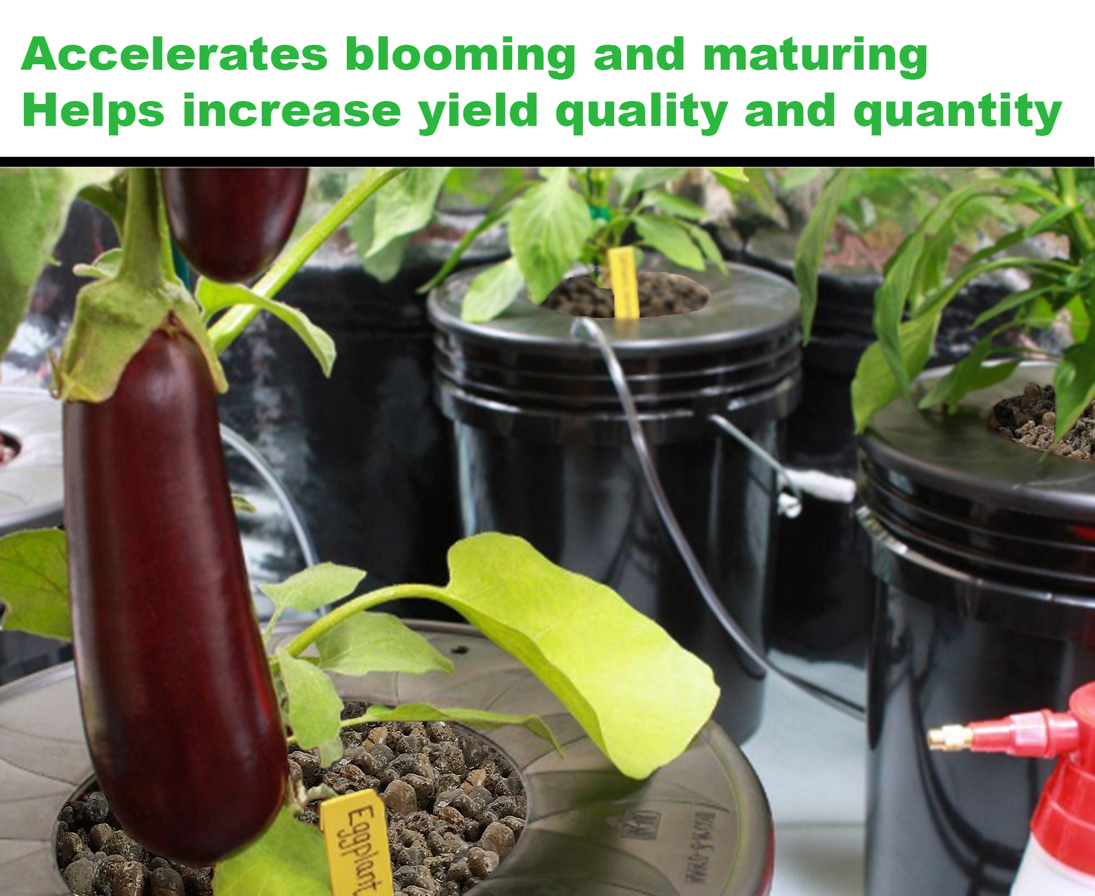 Viastone 50L Expanded Clay Pebbles Irregular Grow Rocks Hydroponic Growing Medium (Packs)