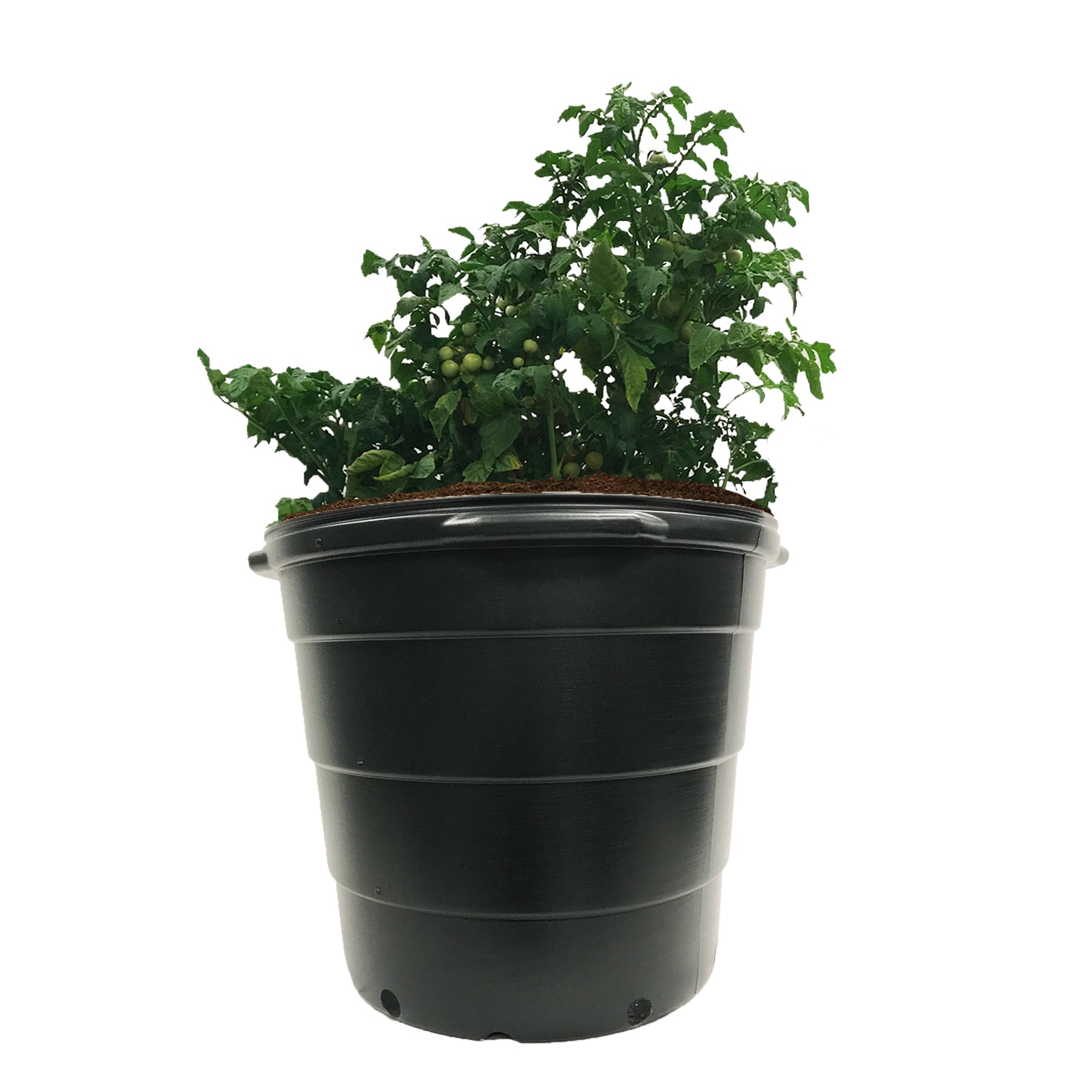 Viagrow 20 gal. 21.5 in. L x 16.5 in. W x 17 in. H Black Indoor/Outdoor Plastic Nursery Pot