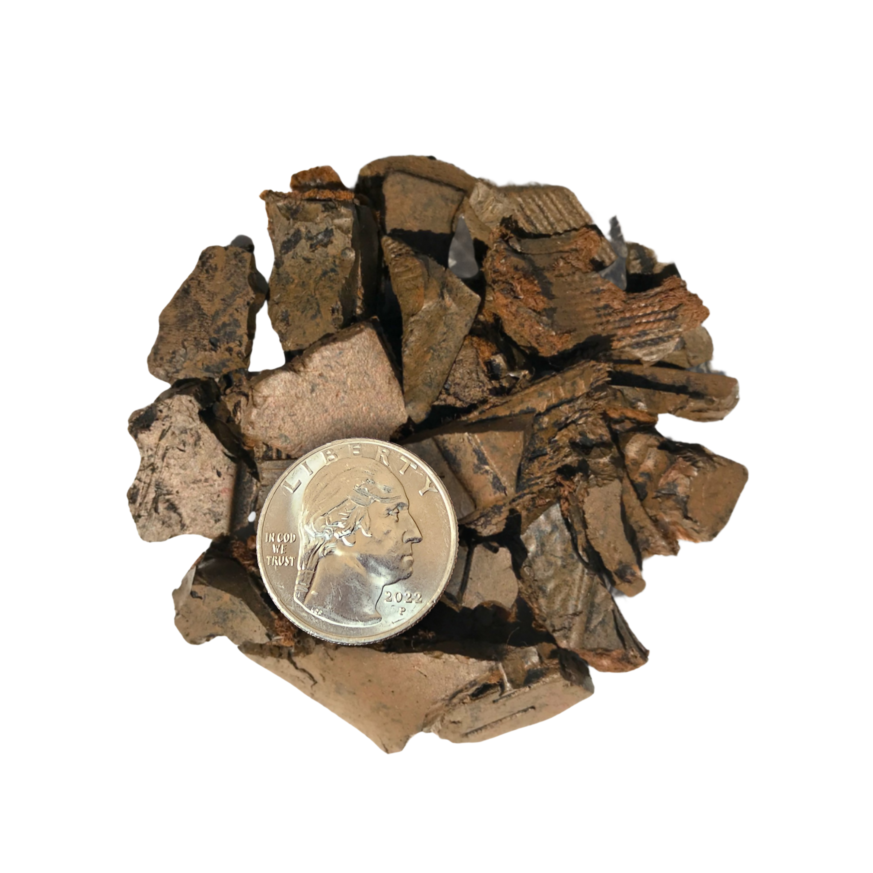 Mineral sample with a coin for scale on a white background