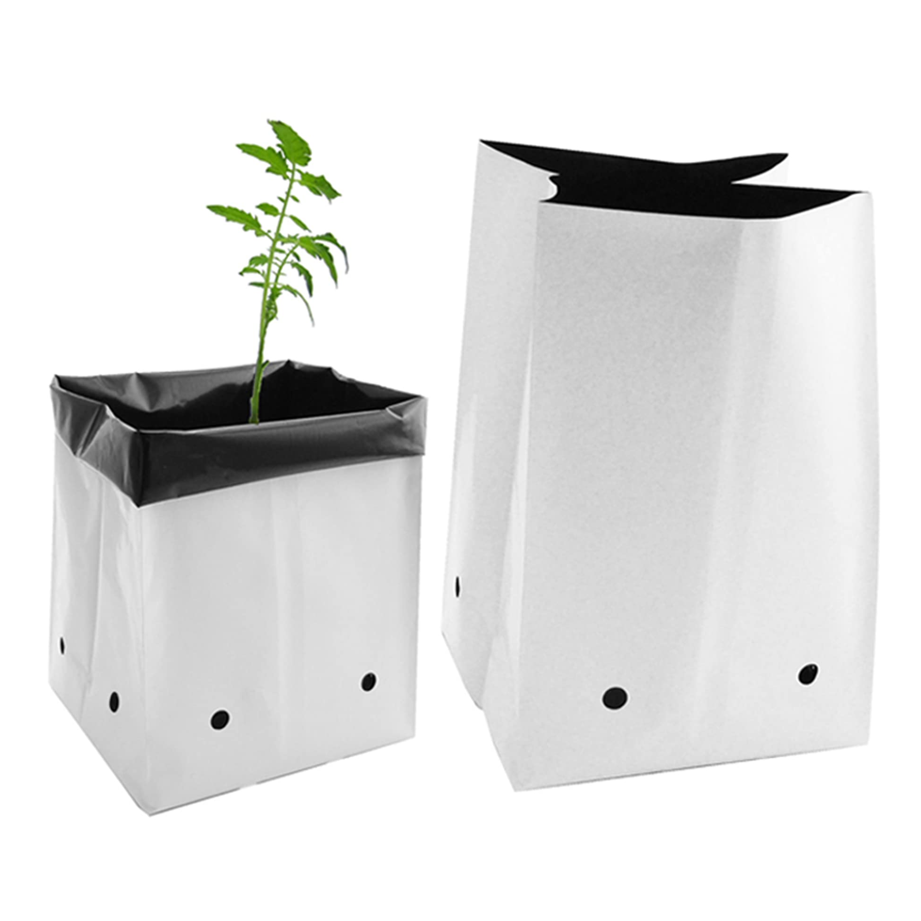 A set of Viagrow plastic grow bags in various sizes, with one bag containing a young plant. The bags are predominantly white with black accents and feature pre-punched drainage holes.