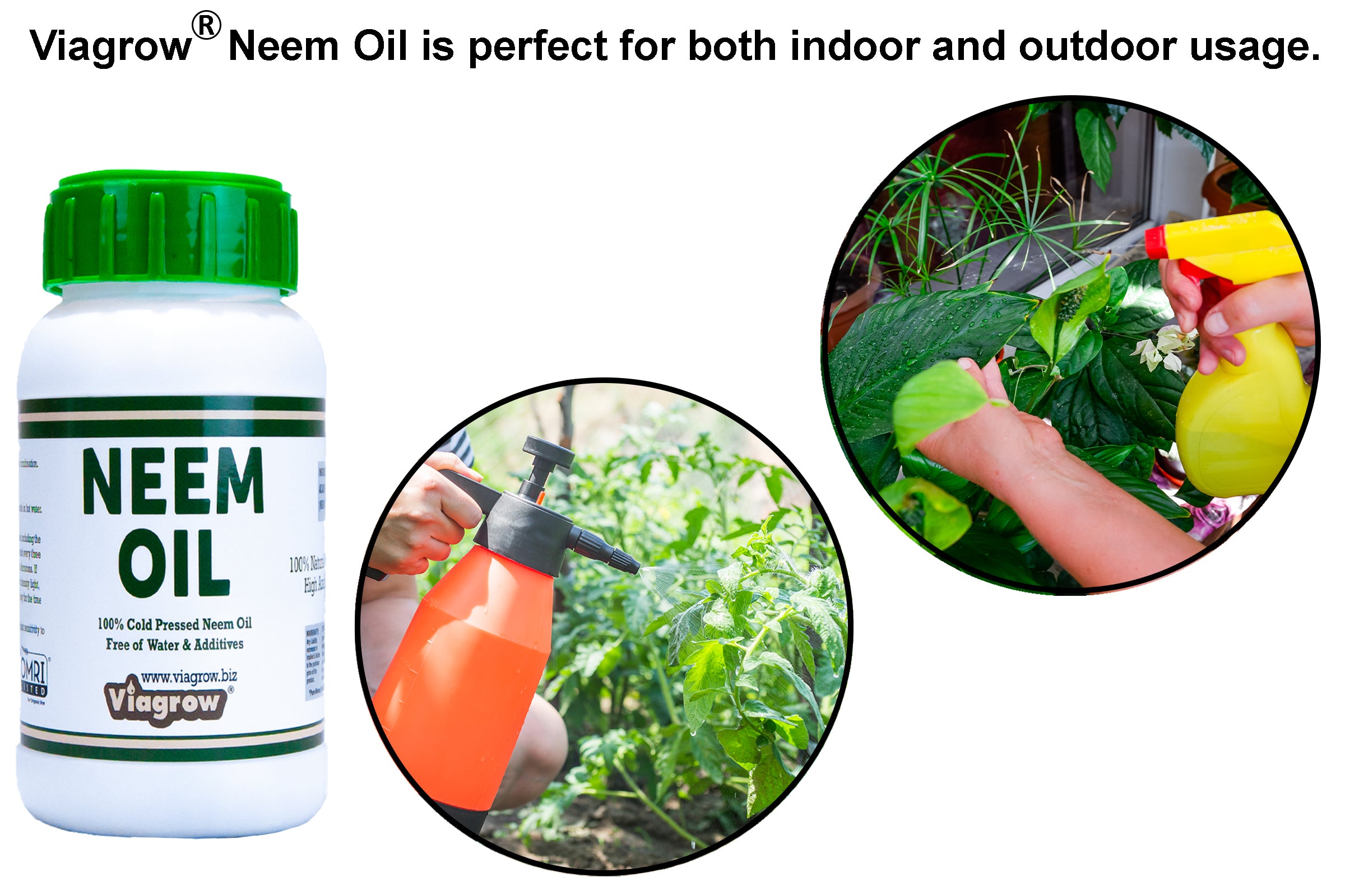 Viagrow 8 oz. Organic Cold Pressed Neem Oil Seed Extract Natural Plant Protection (Case of 40)