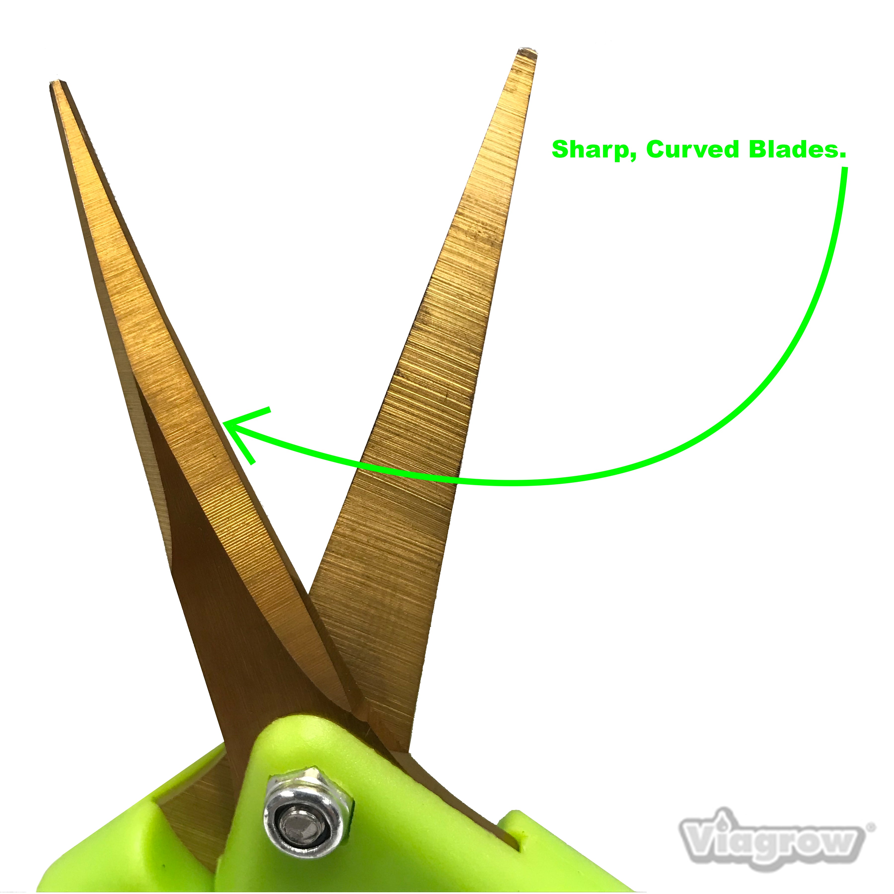 Viagrow Curved Non-Slip Micro-Tip Pruning Snip with Anti-Resin Stick Blades, Non-Soft Grip Shears