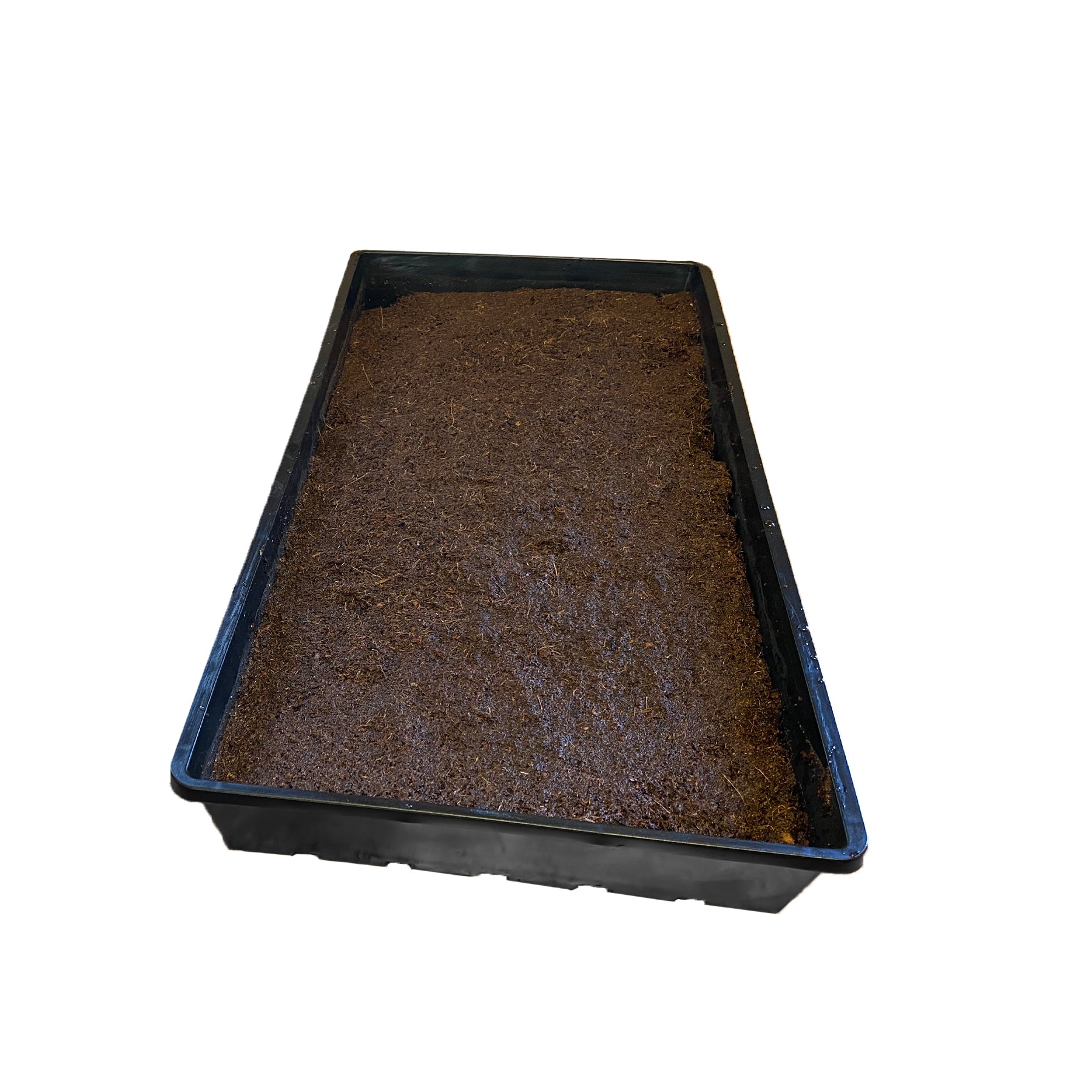 Viagrow 10 in. x 20 in. Black Plastic Extra-Strength Quad Seed Starter Plant Support Planter Accessory 100-Case