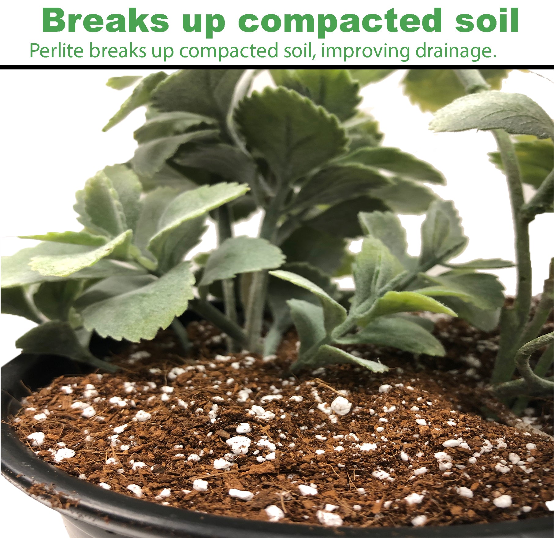 Viagrow 5 kg Coco Coir Block Plus 1 cu. ft. Horticultural Perlite, Makes 3.4 cu. ft. / 25.4 gal / 101 qt Grow Media