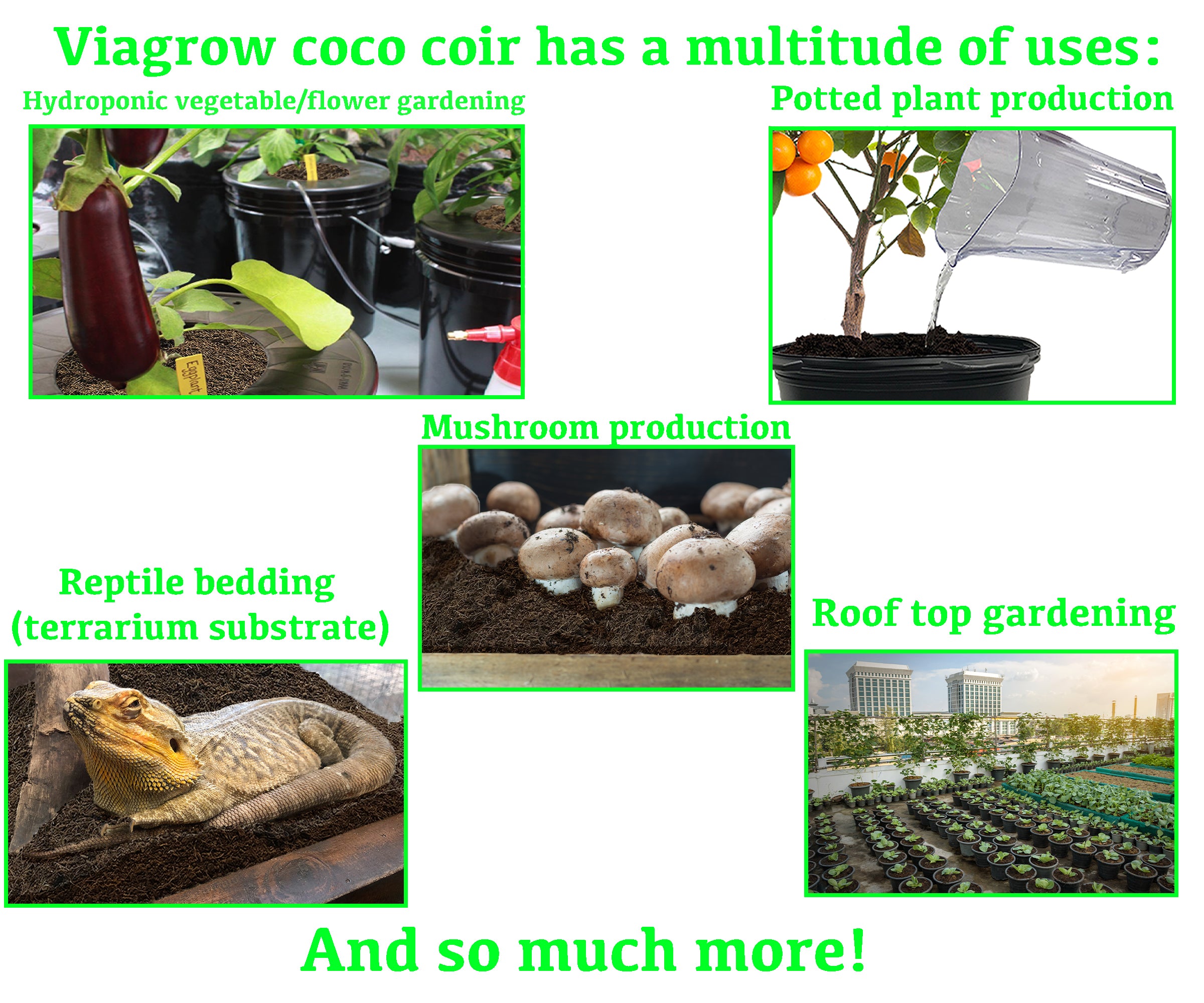 Viagrow 5 kg (11 lb.)Compressed Coconut Coir Premium Grow Media with 50g Micro Charge, Makes 18 gal. / 2.4 cu. ft. / 68 qt.
