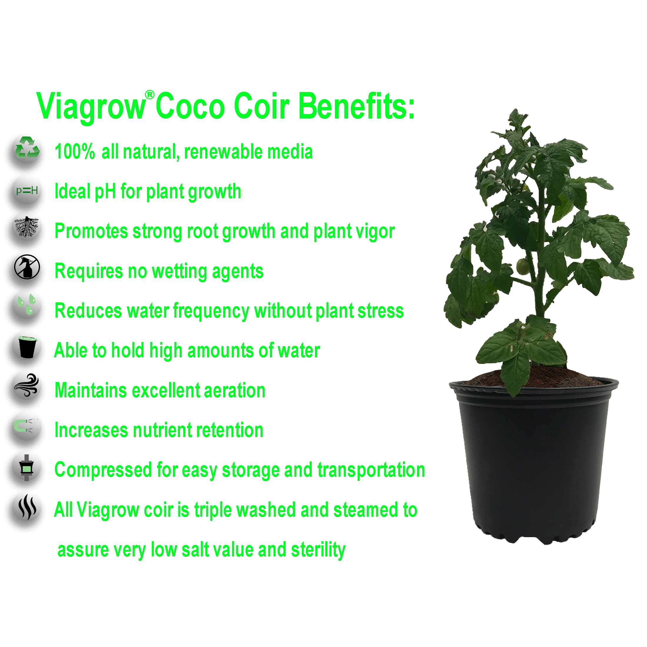 Viagrow 650 g (1.4 lb.) Compressed Coconut Coir Premium Grow Media (Packs)