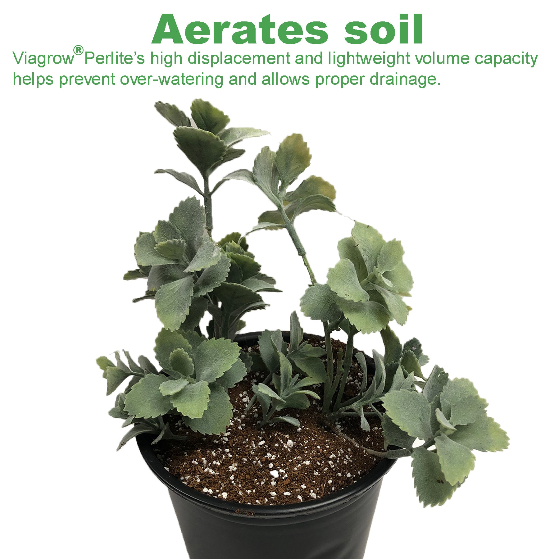 Viagrow 1 cu. ft. Perlite + 1 cu. ft. Vermiculite + 5 kg Coco Coir Grow Media Blend, Makes 128 qt. / 32 gal. / 4.4 cu. ft.