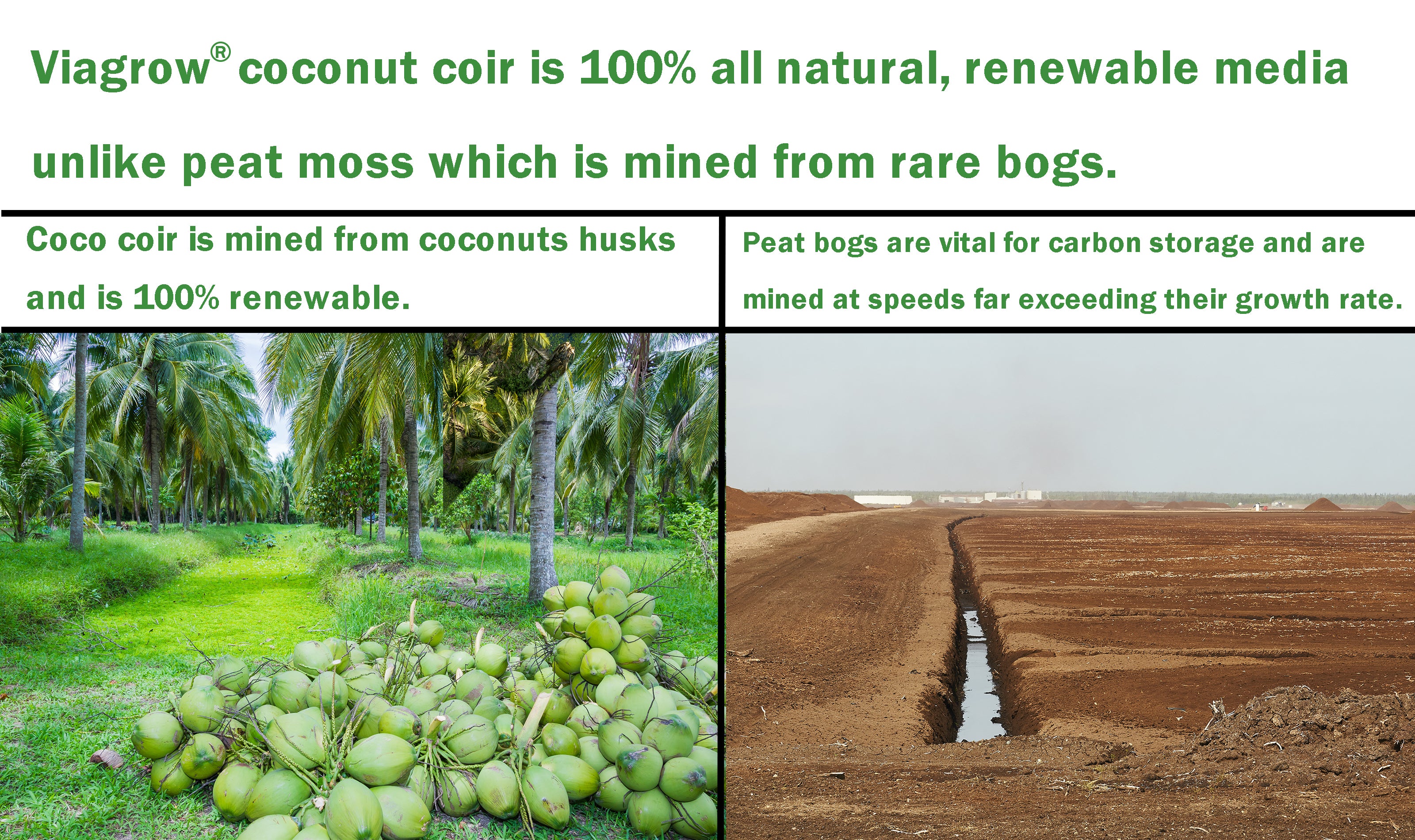 Viagrow 1.5 cu.ft. (50L) Buffered Loose Coconut Coir Soilless Grow Media (Packs)