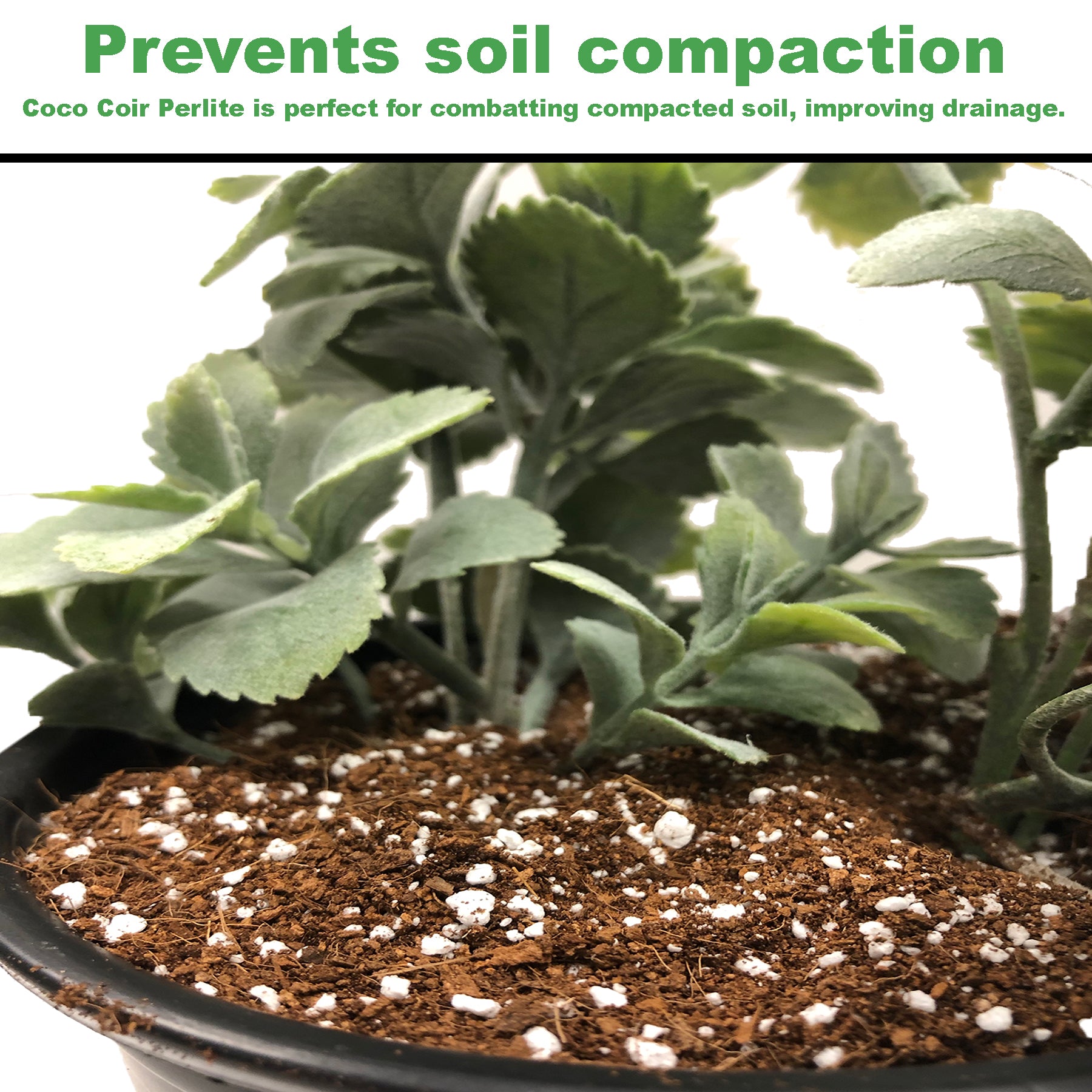 Viagrow 1.7 cu. ft. (50L) Coco Coir Plus Perlite Premium Grow Media (70% Coir and 30% Perlite) 72-Pallet