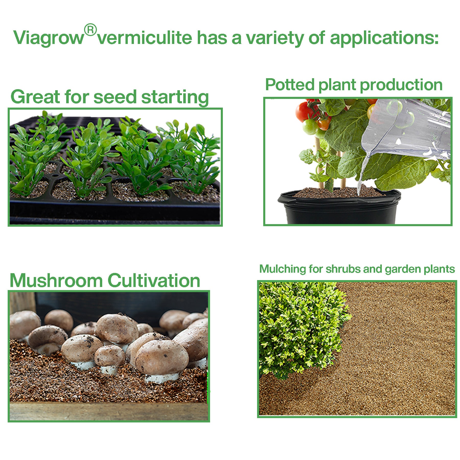 Viagrow 1 cu. ft. Horticultural Vermiculite Natural Soil Amendment (Packs)