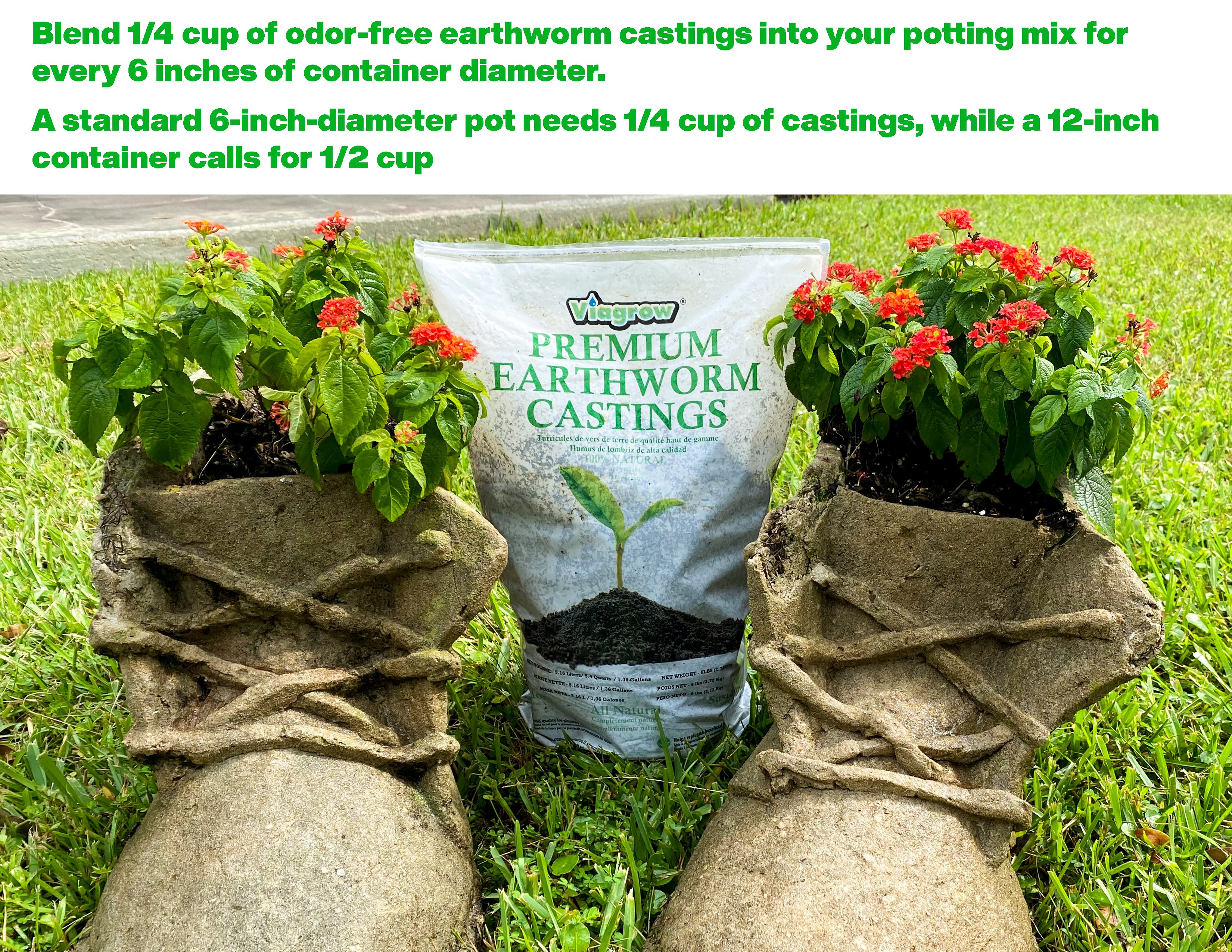 Viagrow 1 lb. Organic Premium Earthworm Castings Natural Soil Builder and Soil Amendment 15-Case
