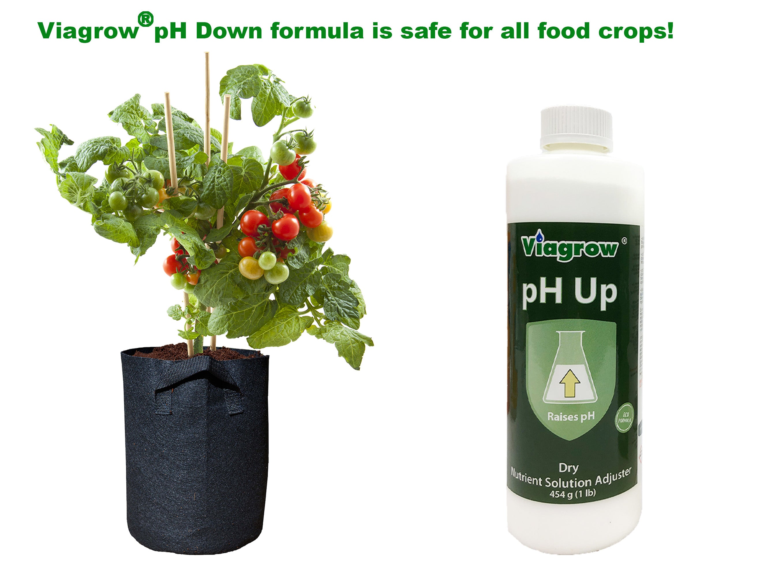 Viagrow Natural pH Up Adjusting Crystals 1 lb. Green Concentrate Application Type Nutrient Solution 48-Case