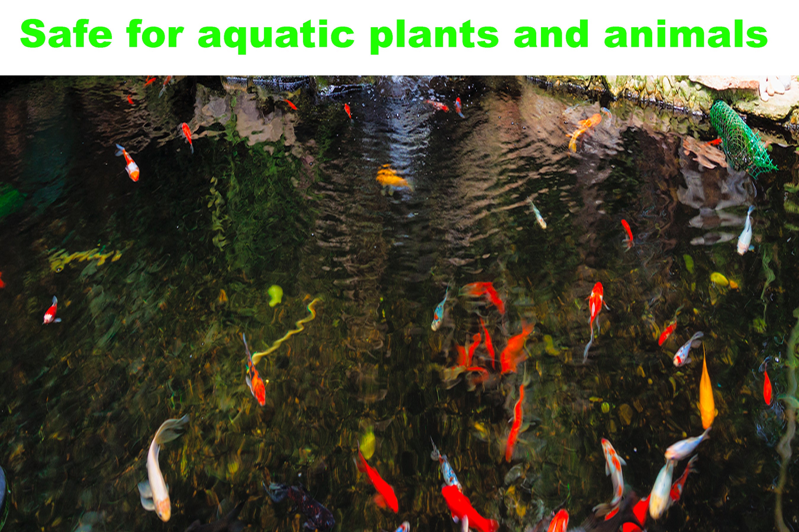 Viagrow 32 oz. STOP-ALG Water Conditioner, Algae Control and Clarifier for Aquariums and Ponds