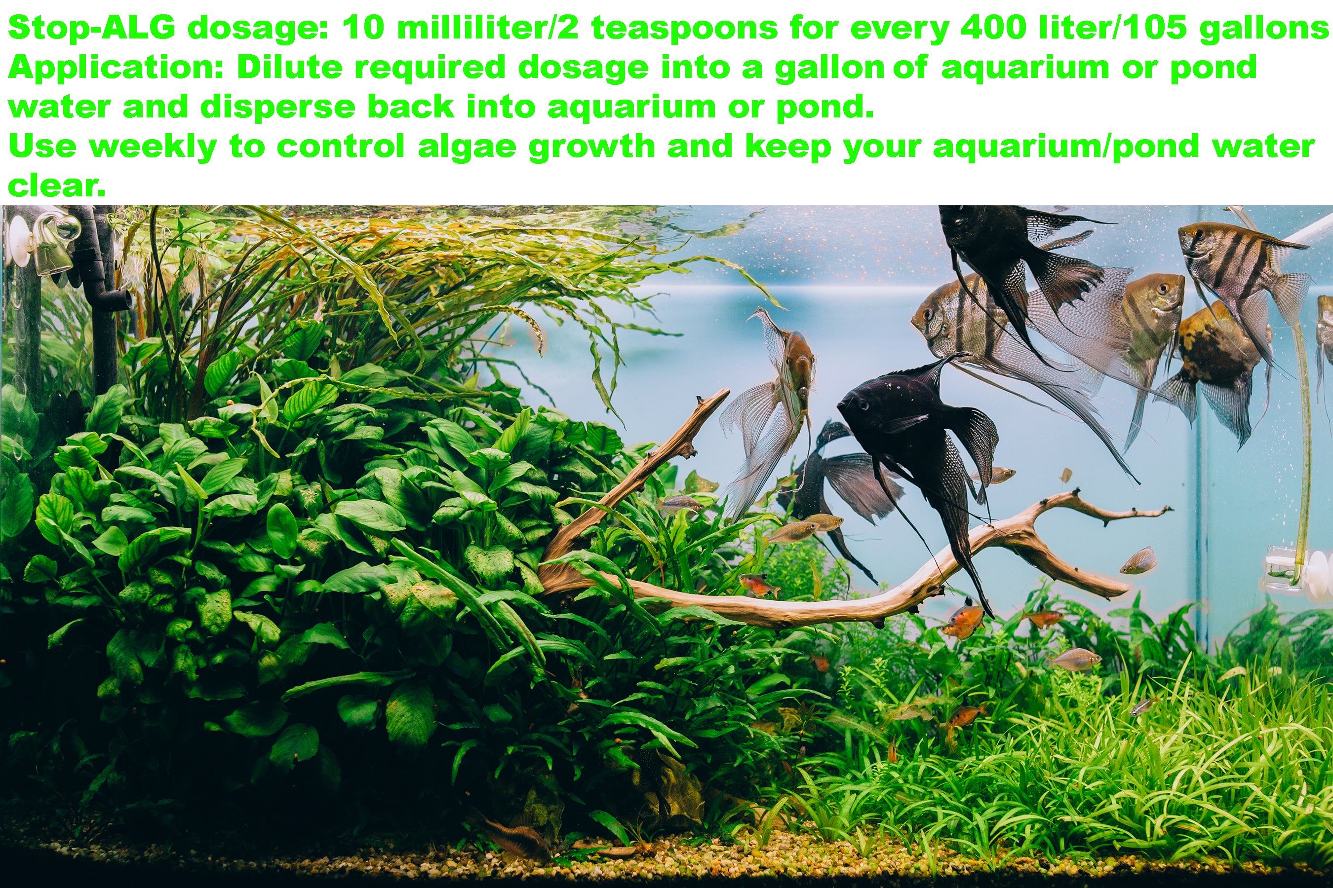 Viagrow 32 oz. STOP-ALG Water Conditioner, Algae Control and Clarifier for Aquariums and Ponds