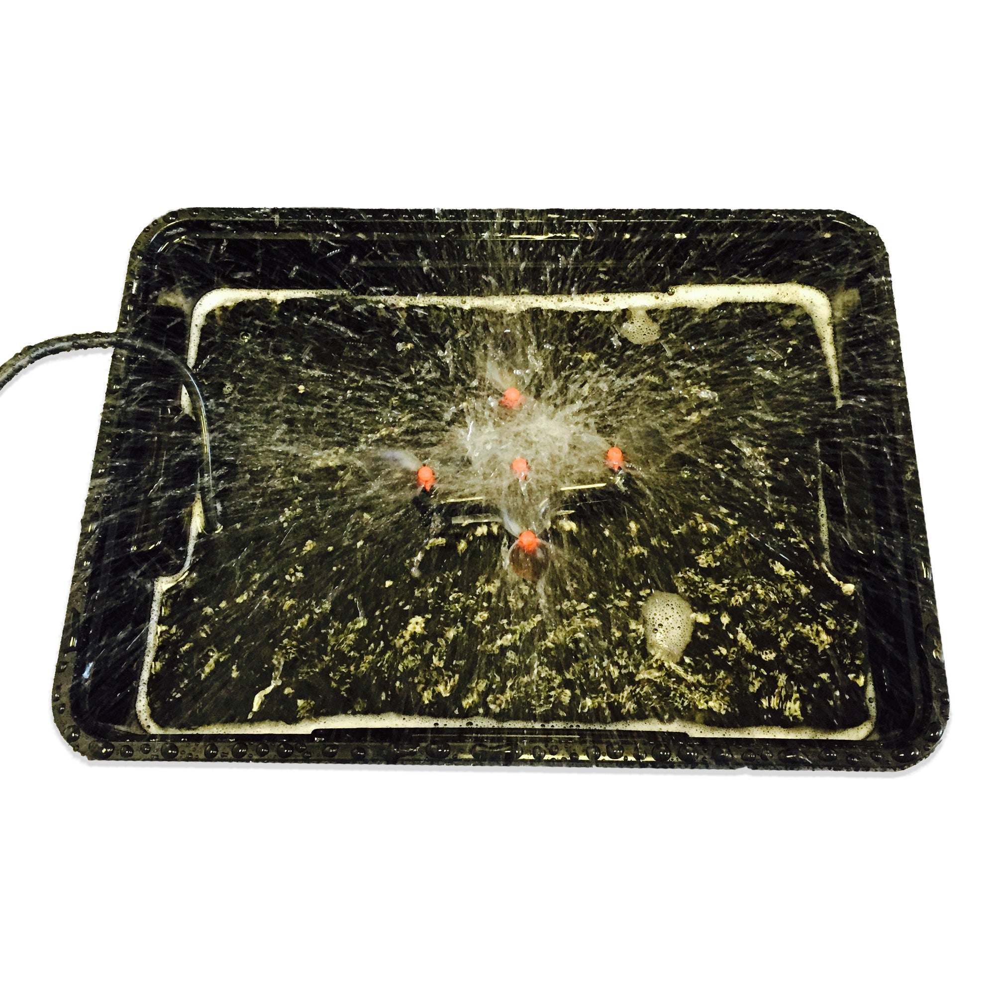 Viagrow Clone Machine inside unit