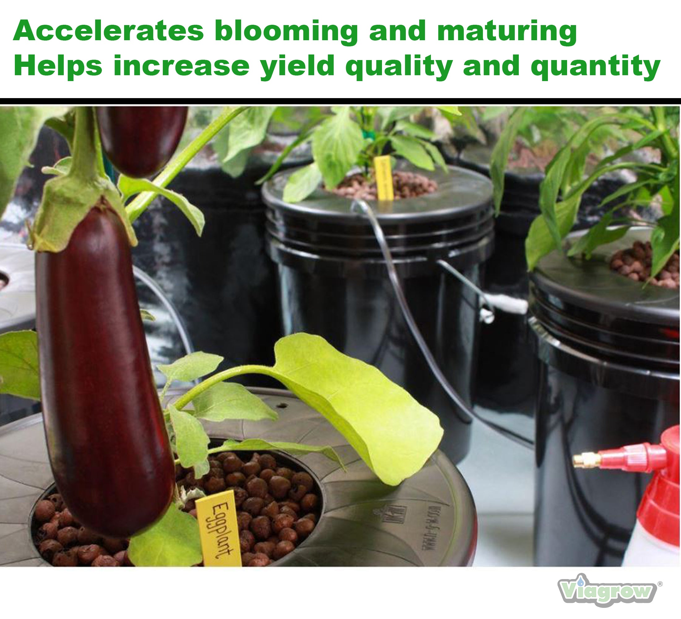 Viastone 10L Expanded Clay Pebbles Round Grow Rocks Hydroponic Growing Medium