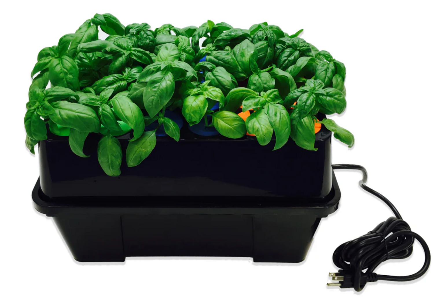 How to Clone Plants Successfully with Aeroponic Cloning