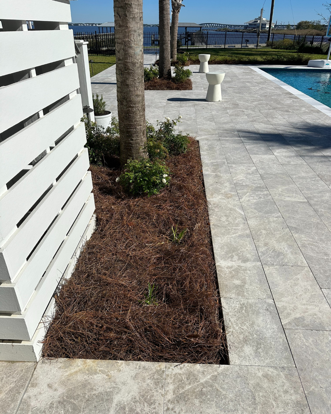 Viagrow Much Glue: The Sticky Secret to Growing Better Plants