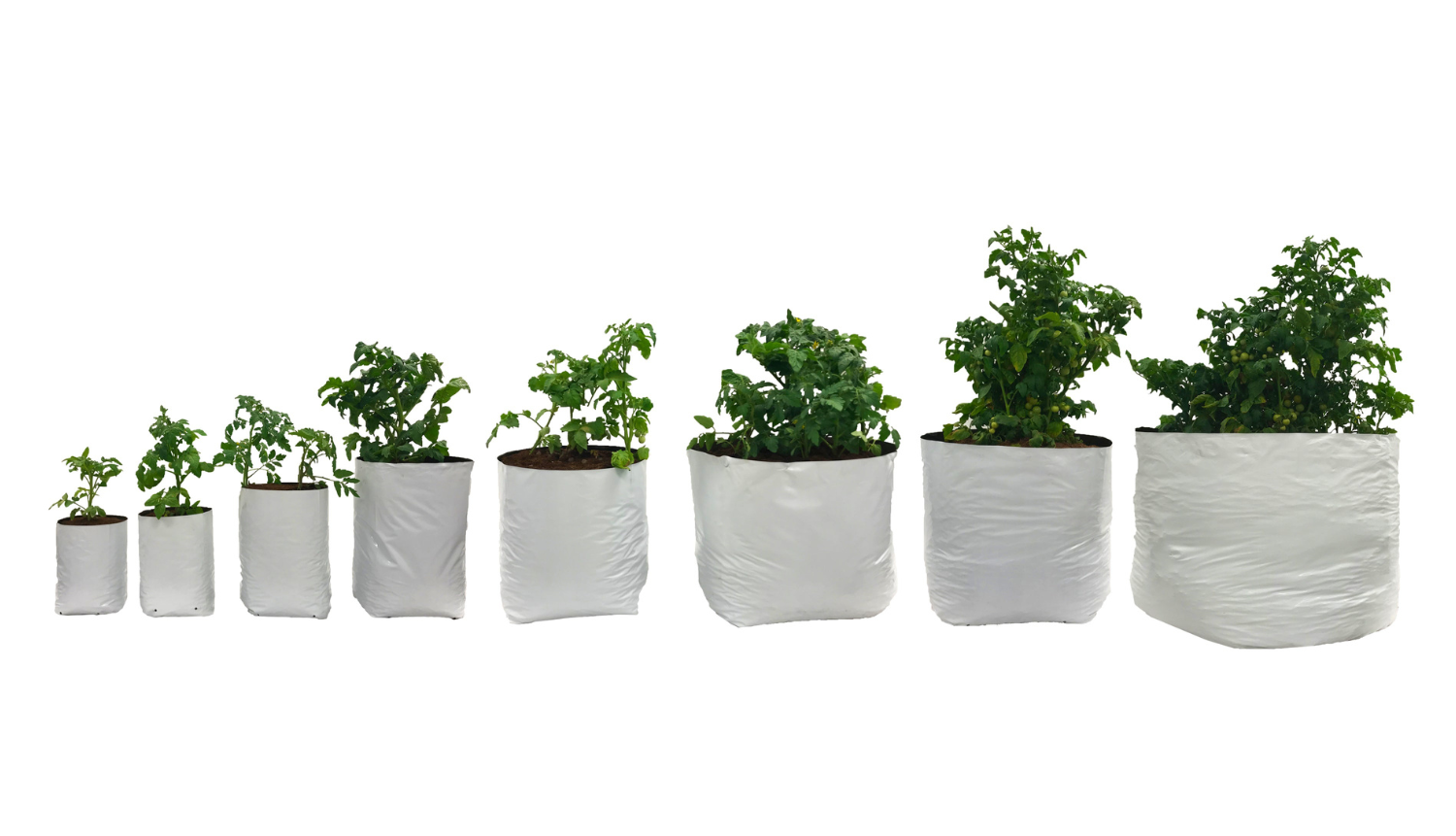 Viagrow Plastic Grow Bags (Case)