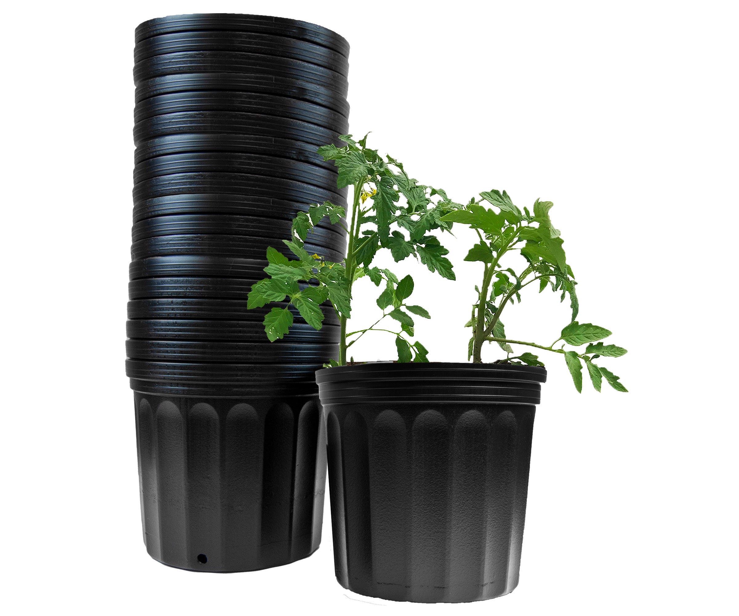 Viagrow 2 Gallon Nursery Pot