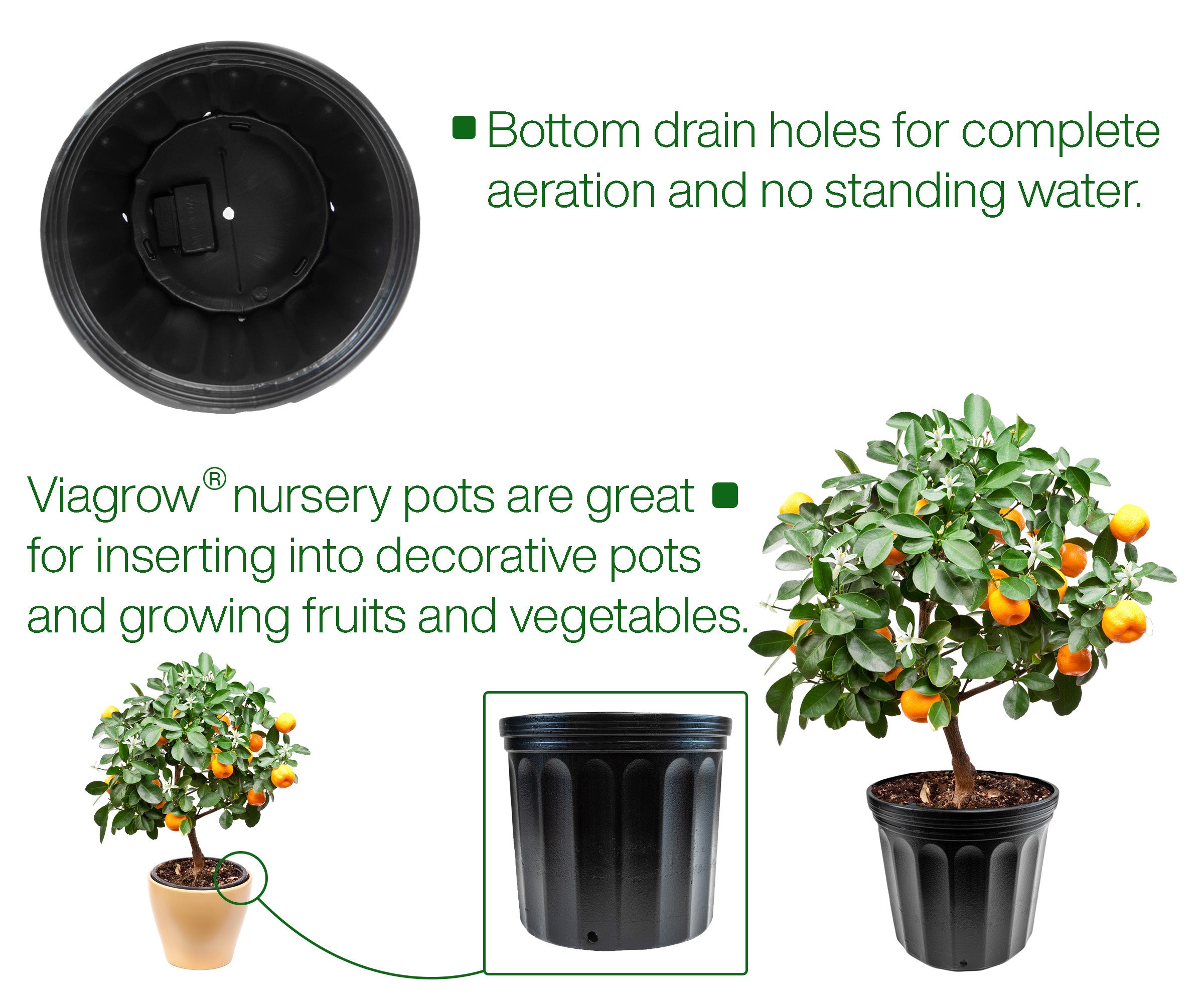 Viagrow 2 Gallon Nursery Pot with 10" Saucer