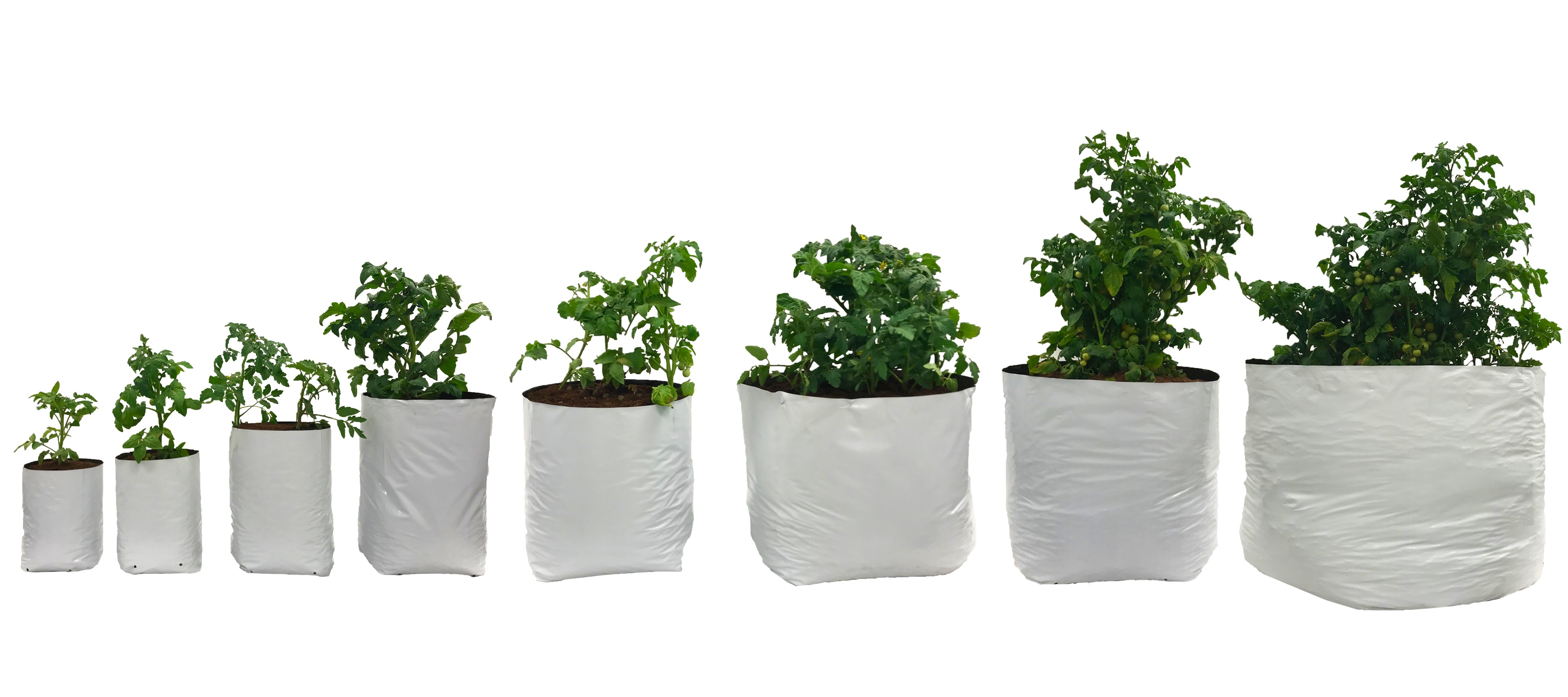 Viagrow Plastic Grow Bags