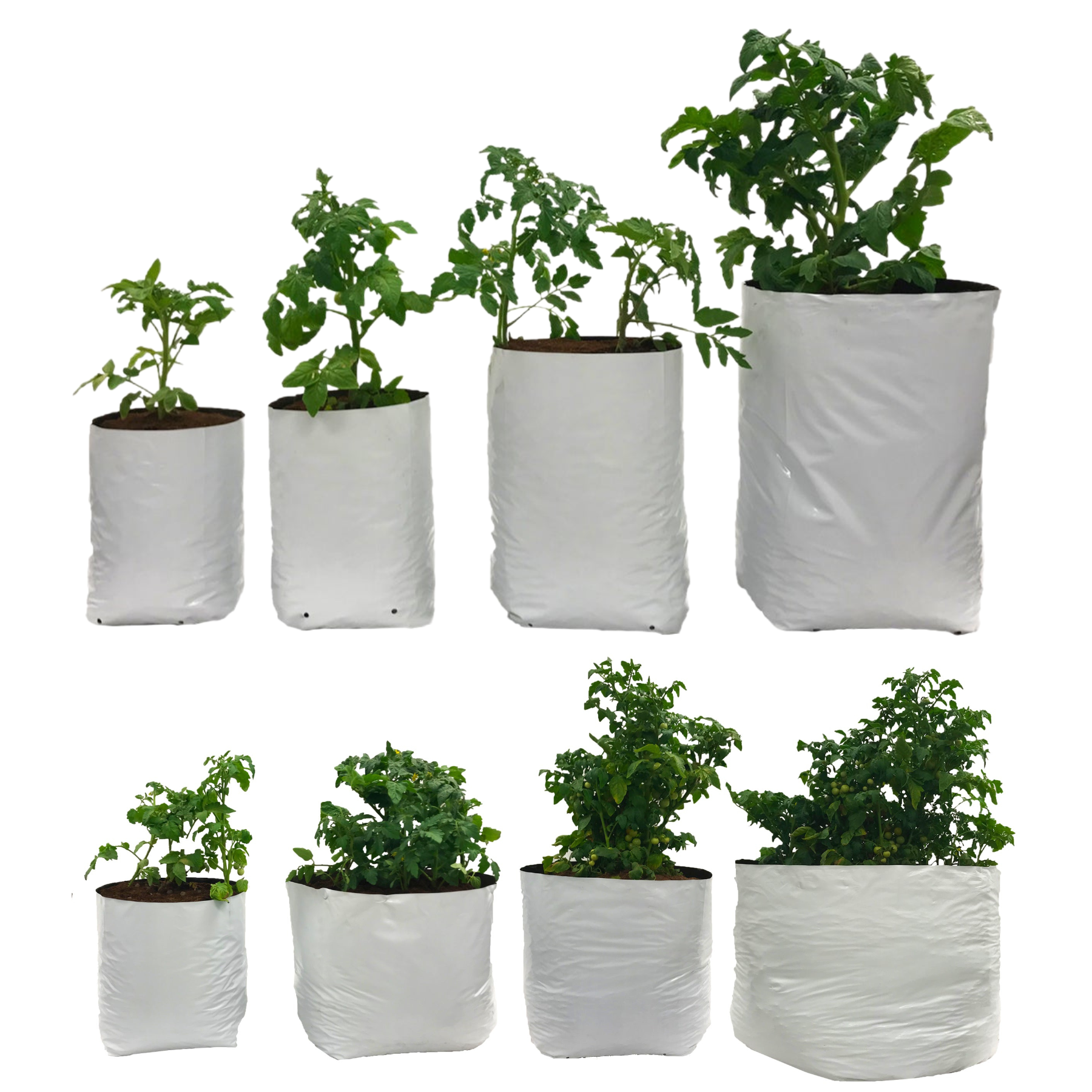 Viagrow Plastic Grow Bags (Case)