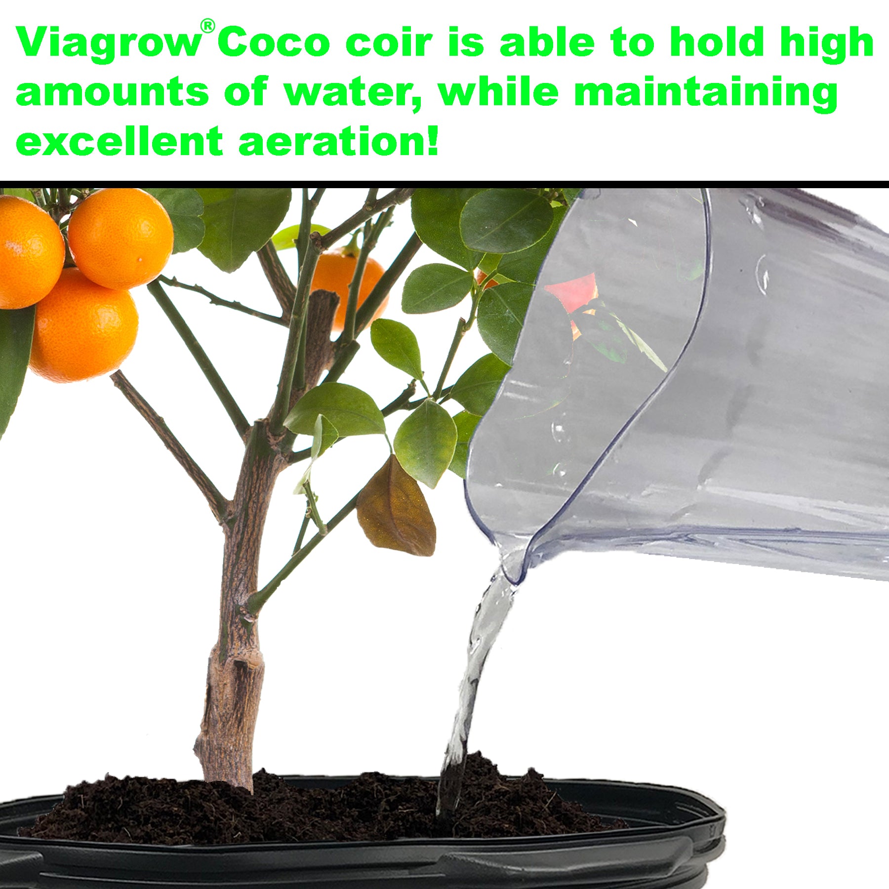 Viagrow Nursery Pot With Viagrow 5KG (11 LB) Coconut Coir Brick