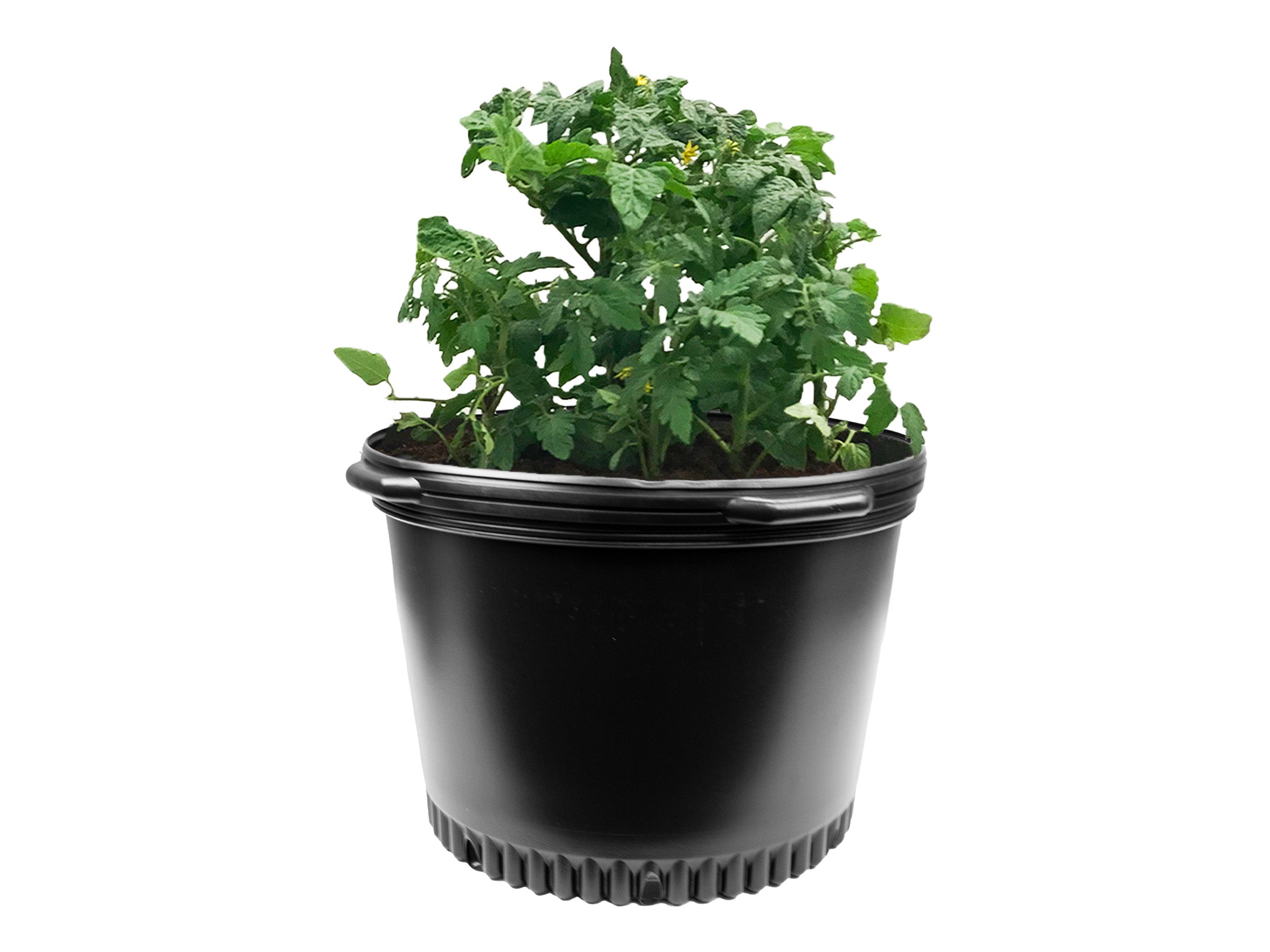 Viagrow 10 Gallon Nursery Pot with 17" Saucer