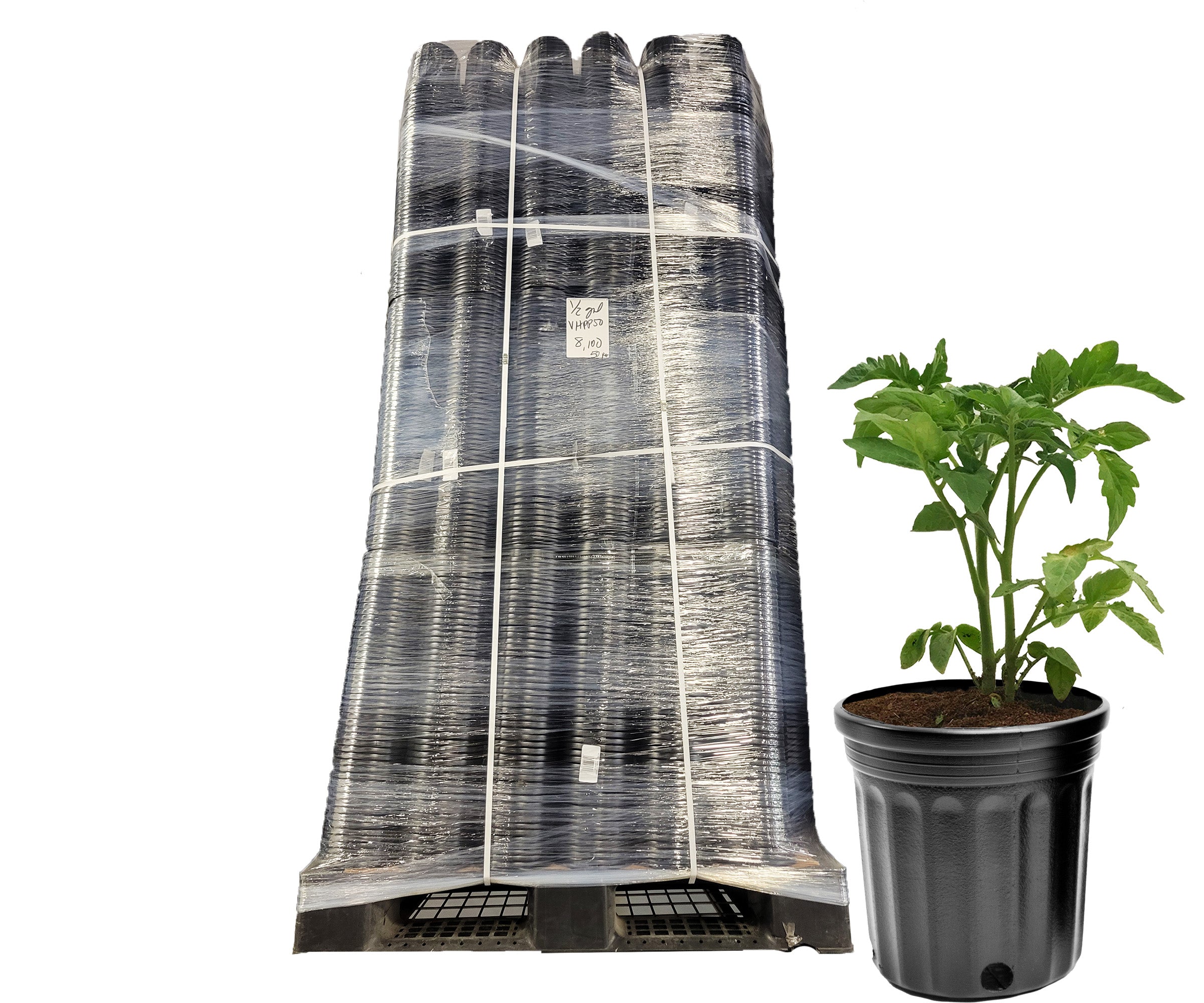 Viagrow 1/2 Gallon Nursery Pot Pallet (Pallet of 8100)