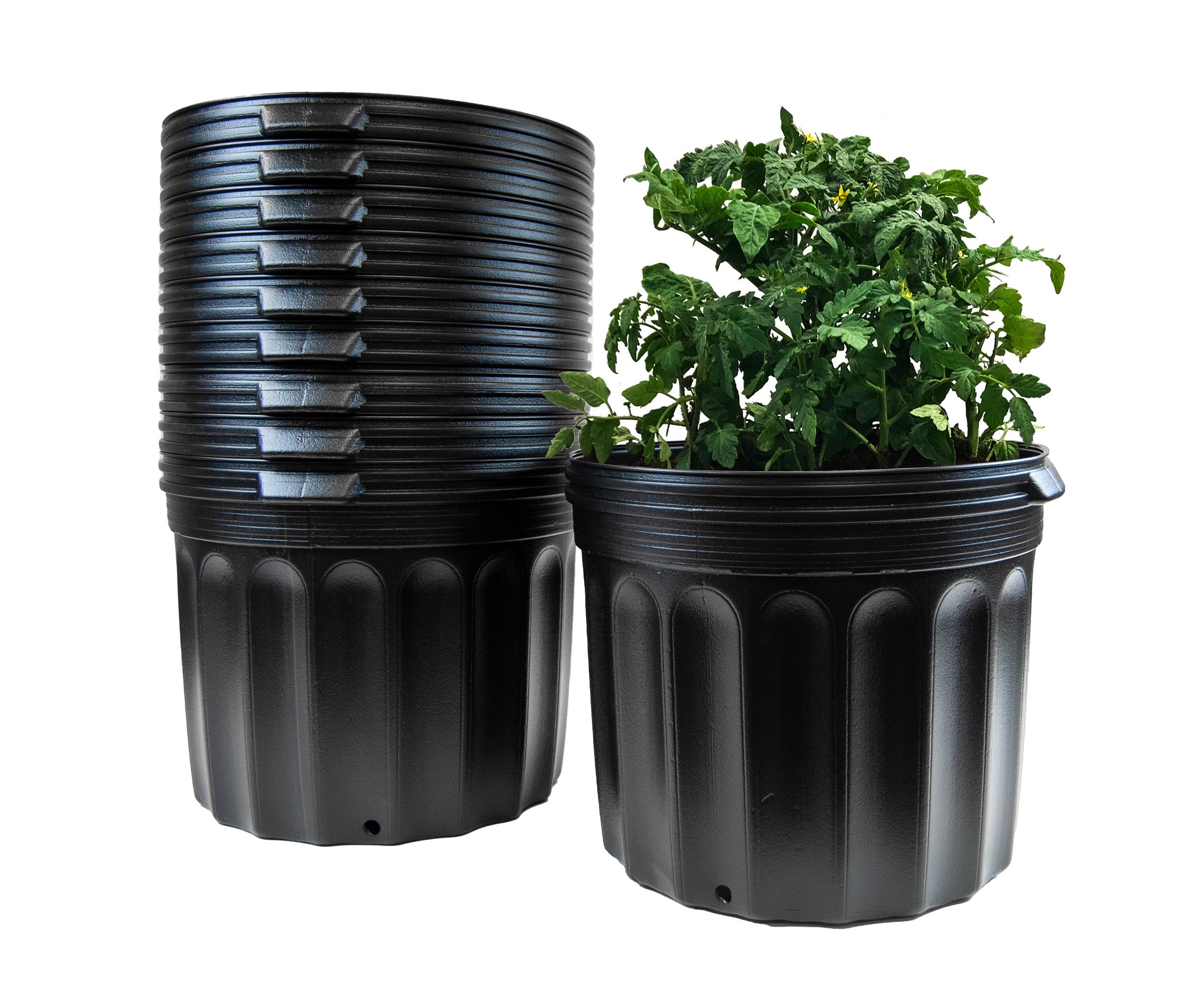 Viagrow 7 Gallon Nursery Pot