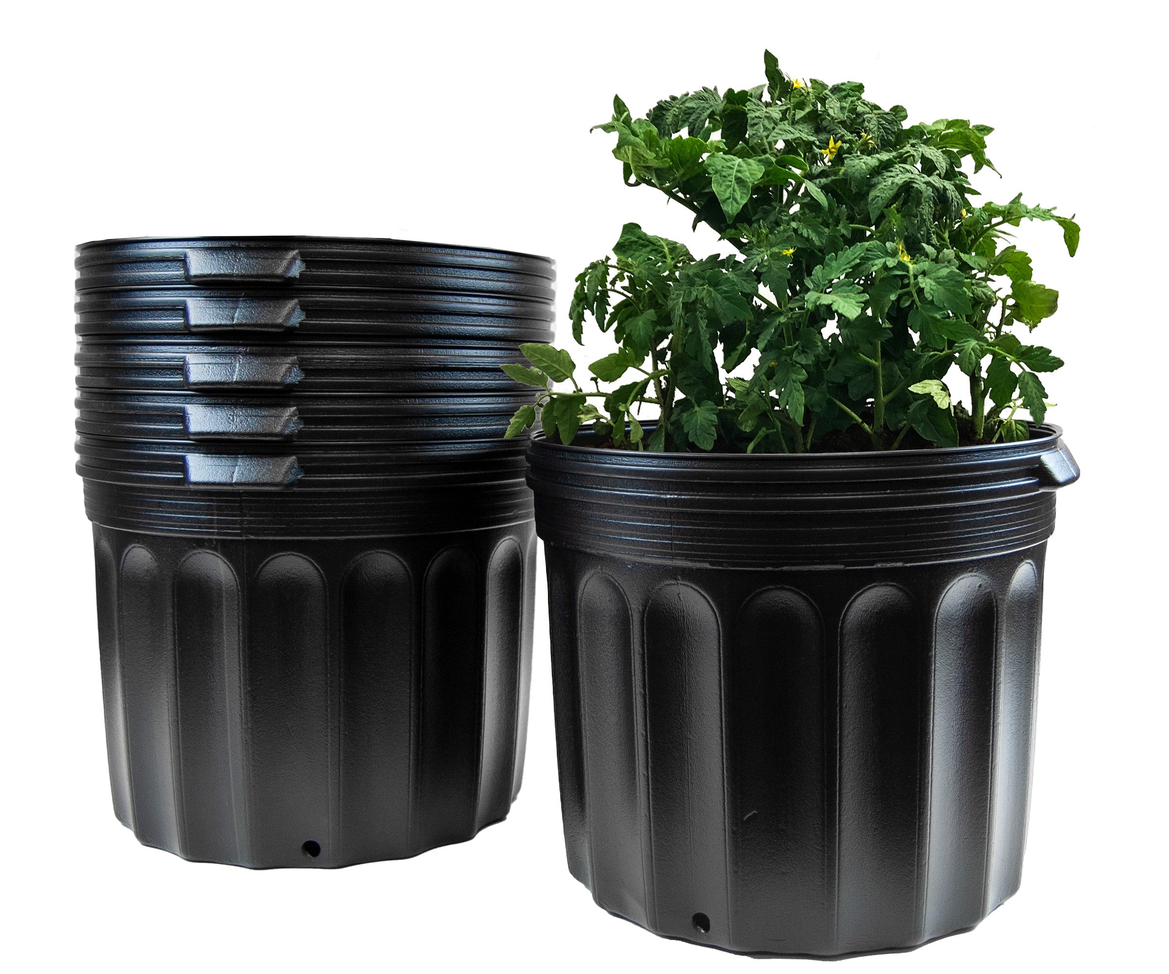 Viagrow 7 Gallon Nursery Pot