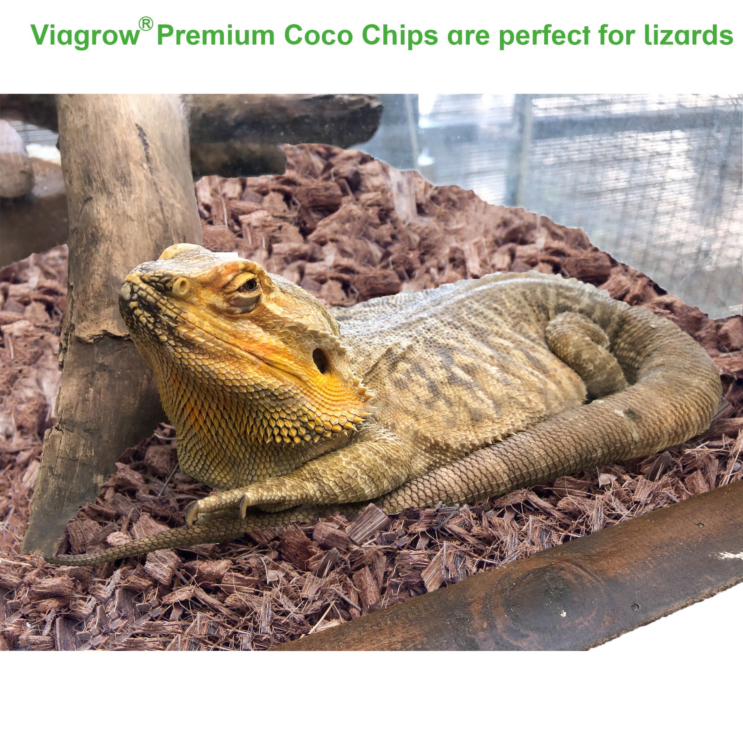 Viagrow 1CU. FT (50L) Coco Chip Premium Reptile Substrate