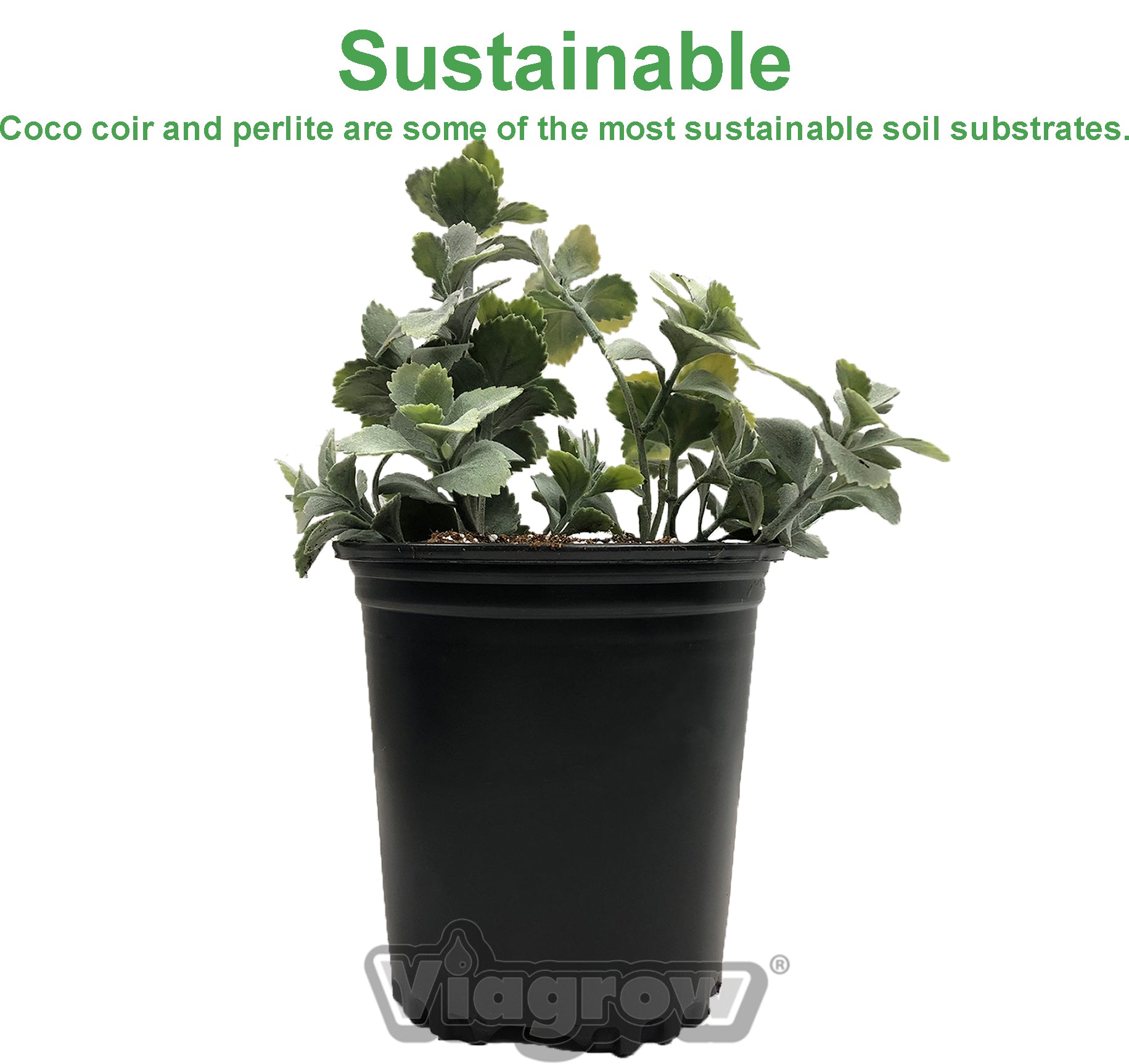 Viagrow  128 cu. ft. Horticultural Perlite Natural Soil Amendment