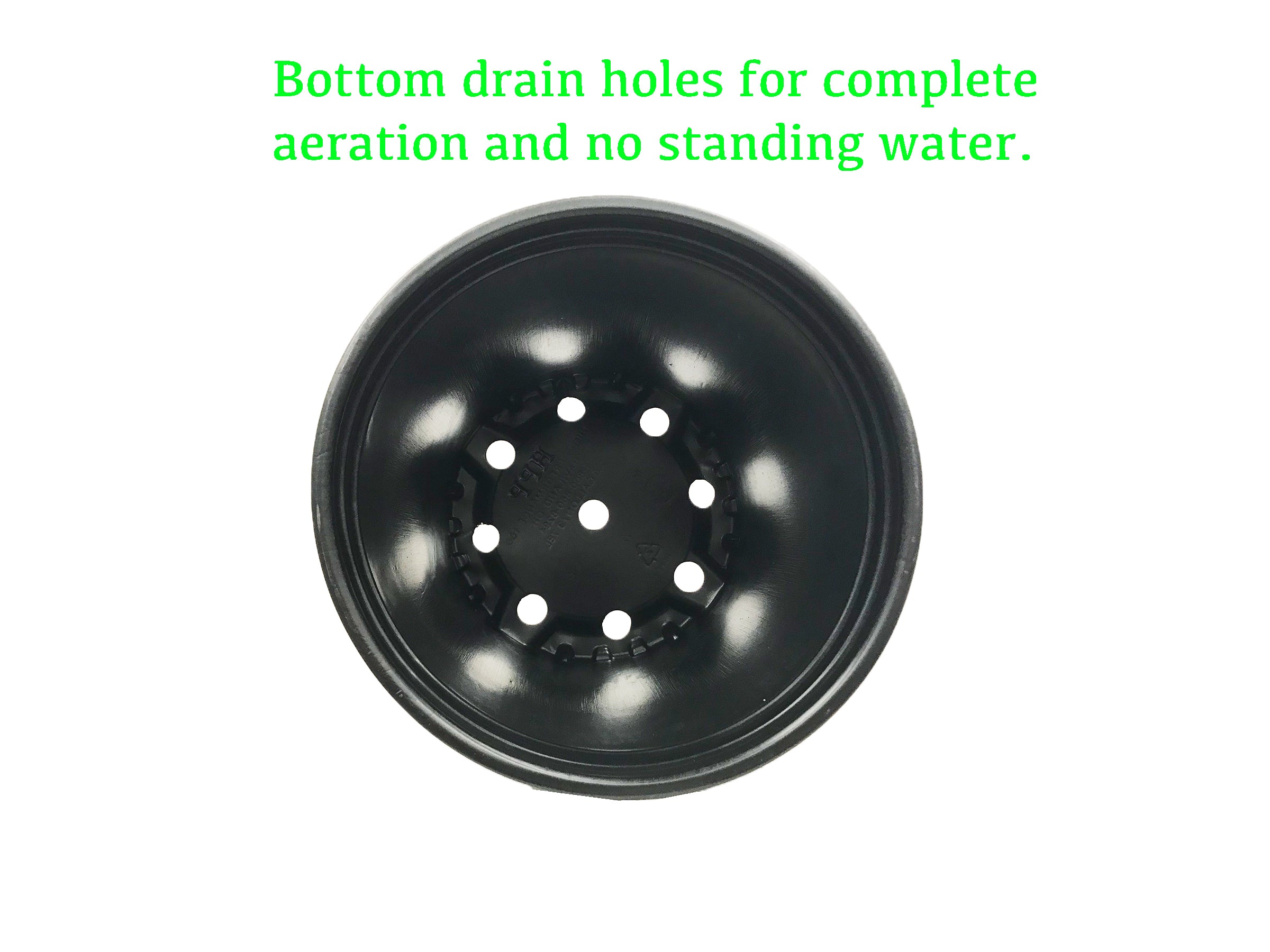 Viagrow 1 gal. Black Indoor/Outdoor Plastic Nursery Pot