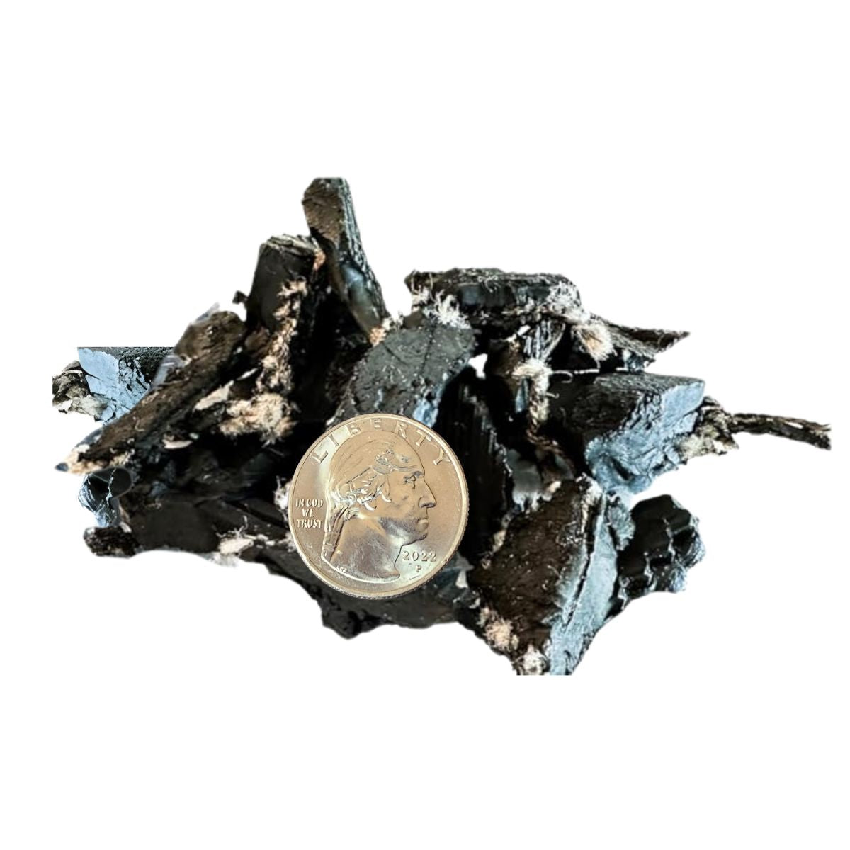 Mineral sample with a coin for scale on a white background