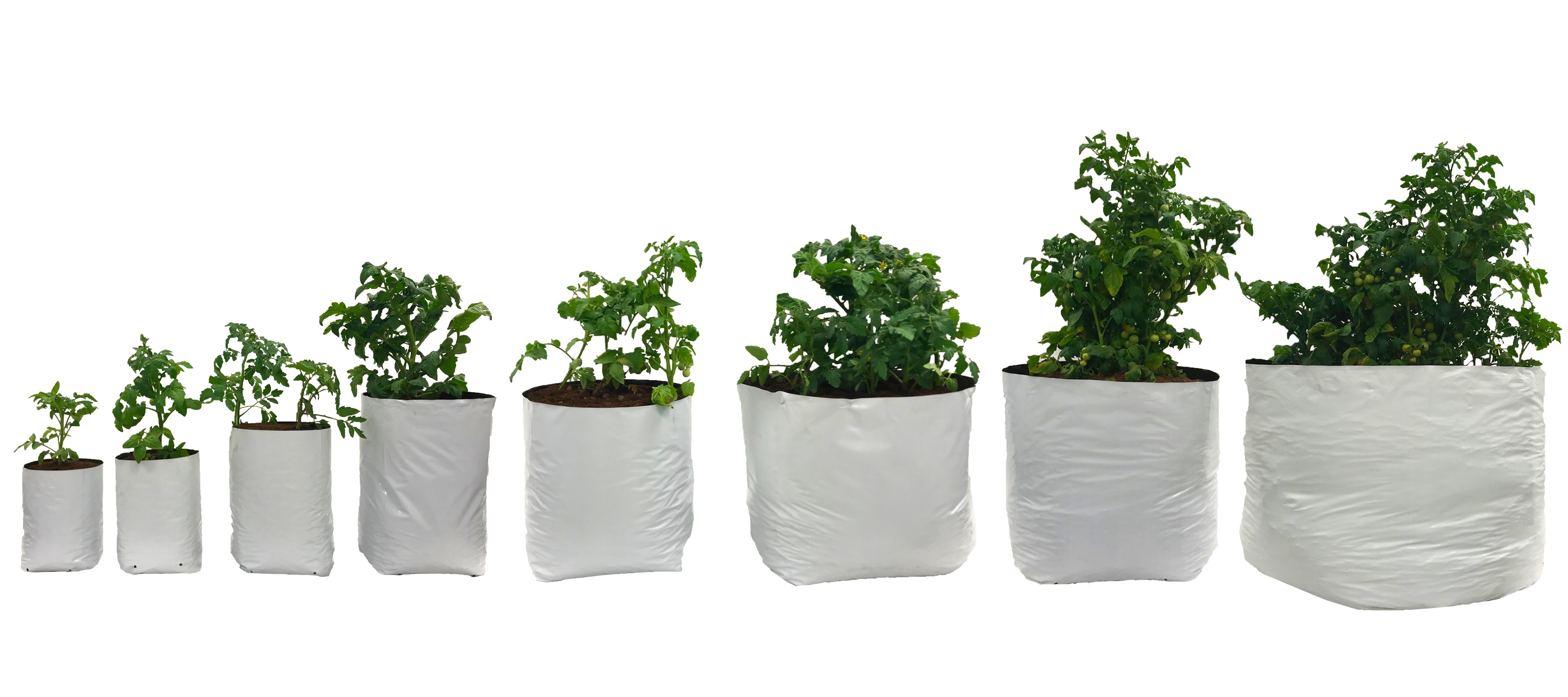 A series of Viagrow plastic grow bags in various sizes, filled with plants, showcasing the bags' varying sizes and the capacity to grow plants.