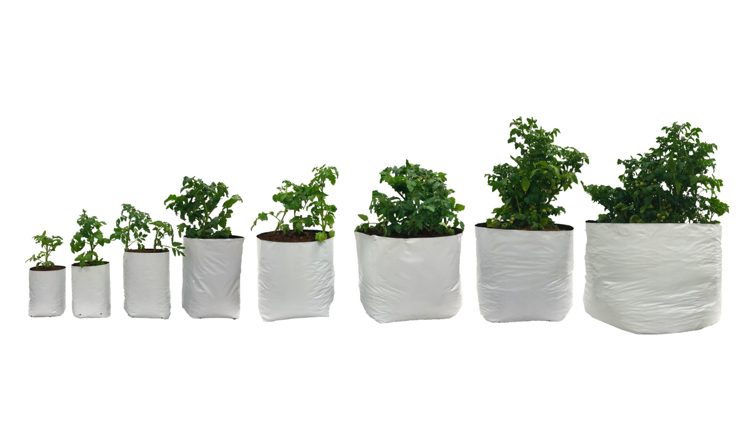 Viagrow Plastic Grow Bags