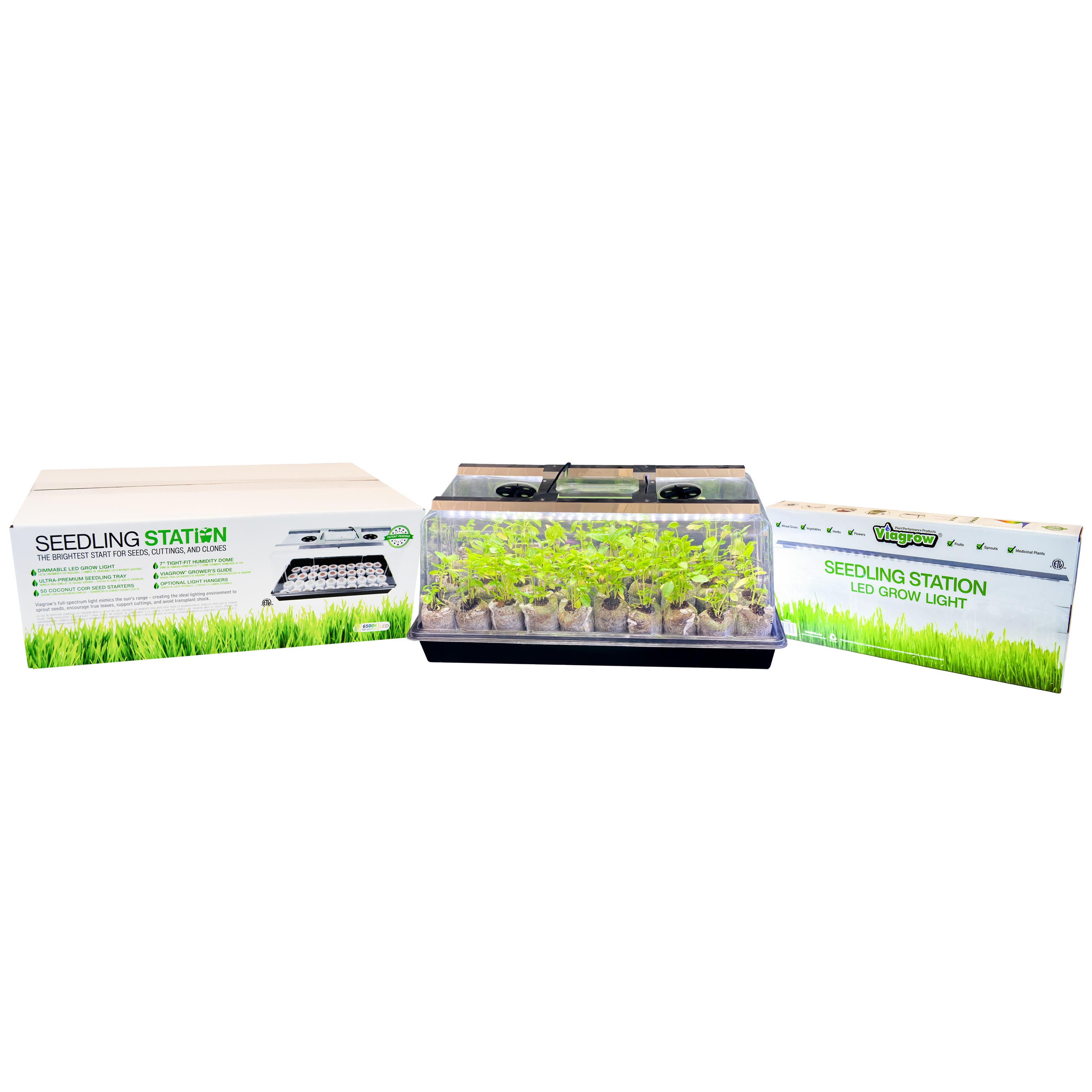 Viagrow Seedling Station Kit with LED Grow Light, Propagation Dome, Tray and 50 Coir Seedling Starters (Case of 5)