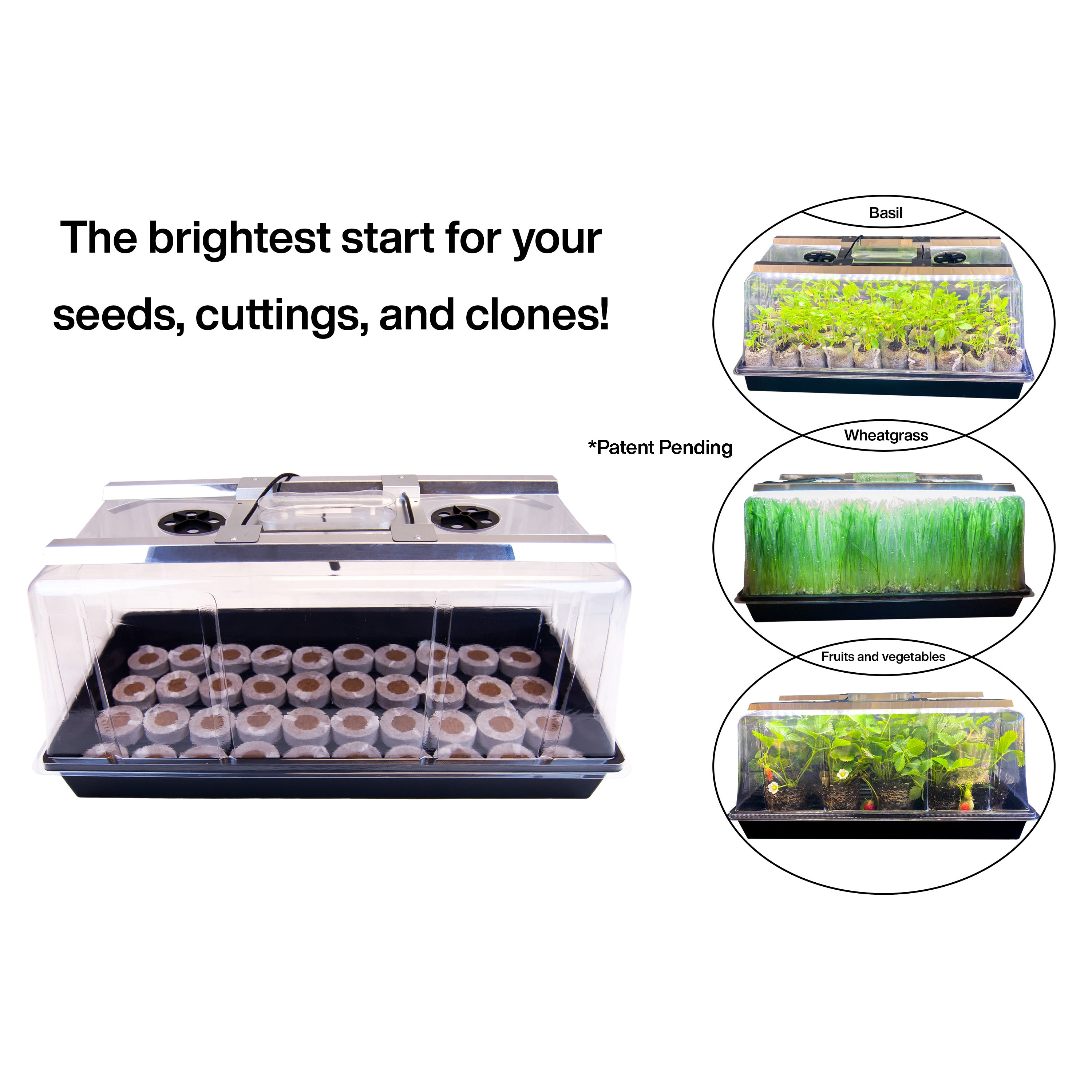 Viagrow Seedling Station Kit with LED Grow Light, Propagation Dome, Tray and 50 Coir Seedling Starters (Case of 5)