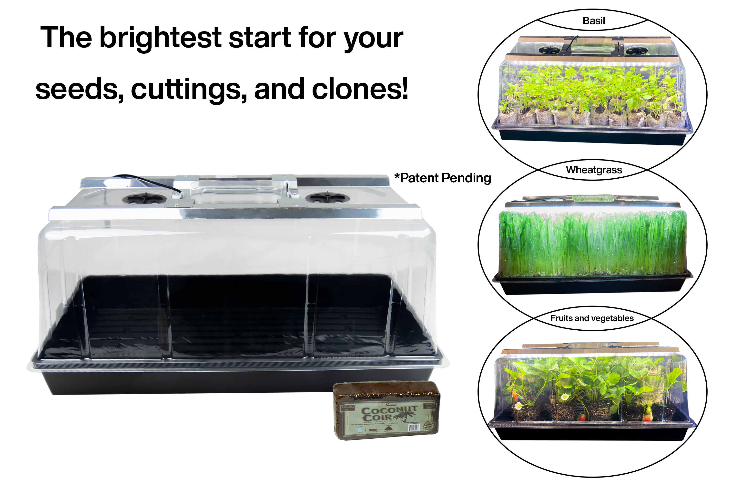 Viagrow Seedling Station Kit w/ LED Grow Light, Propagation Dome 4x Durable Propagation Tray & Coir